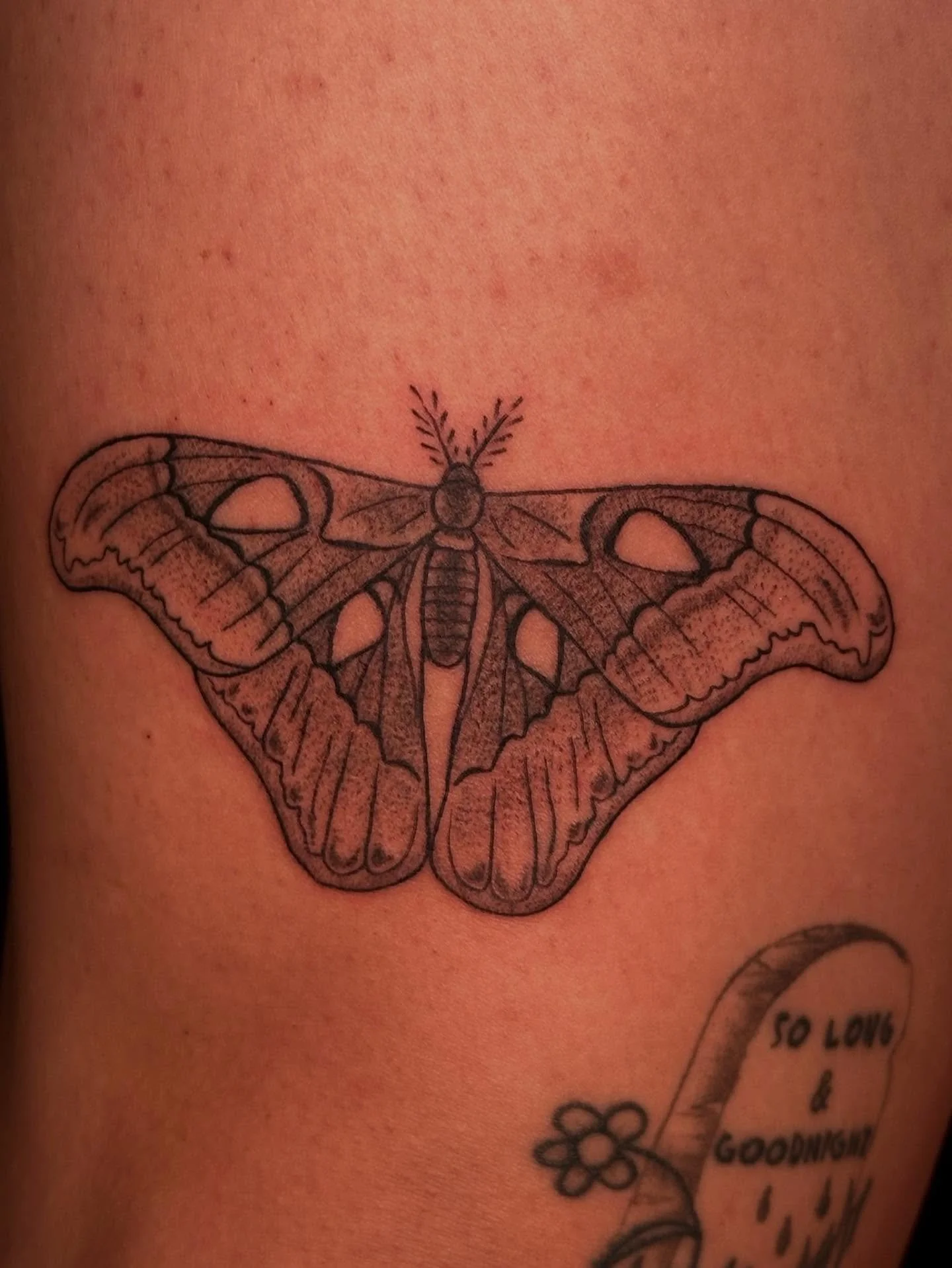 A super cute Attacus Lorquinii moth for Brittanni!!!ππ‍βοΈ
Booking December @darkartstattoomd just send a DM or my booking form for a spotπ