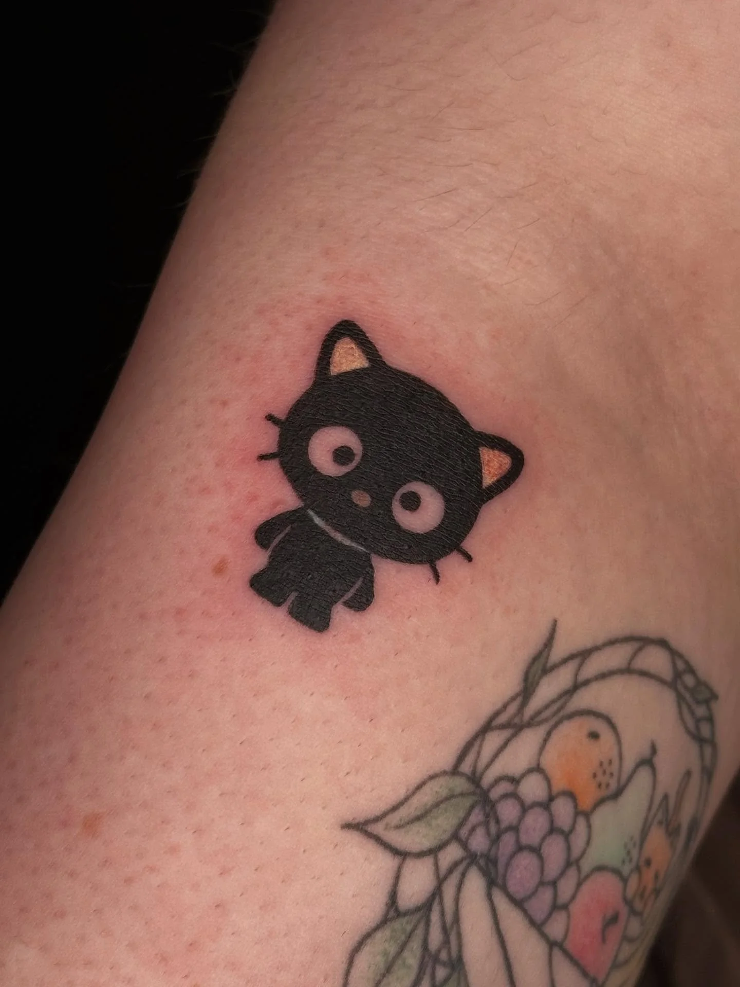 Lil Chococat for Reagan!!!!!😻🐈&zwj;⬛🥰

Also peep the healed fruit basket!!

Booking January and February @darkartstattoomd just send a DM or my booking form for a spot💖