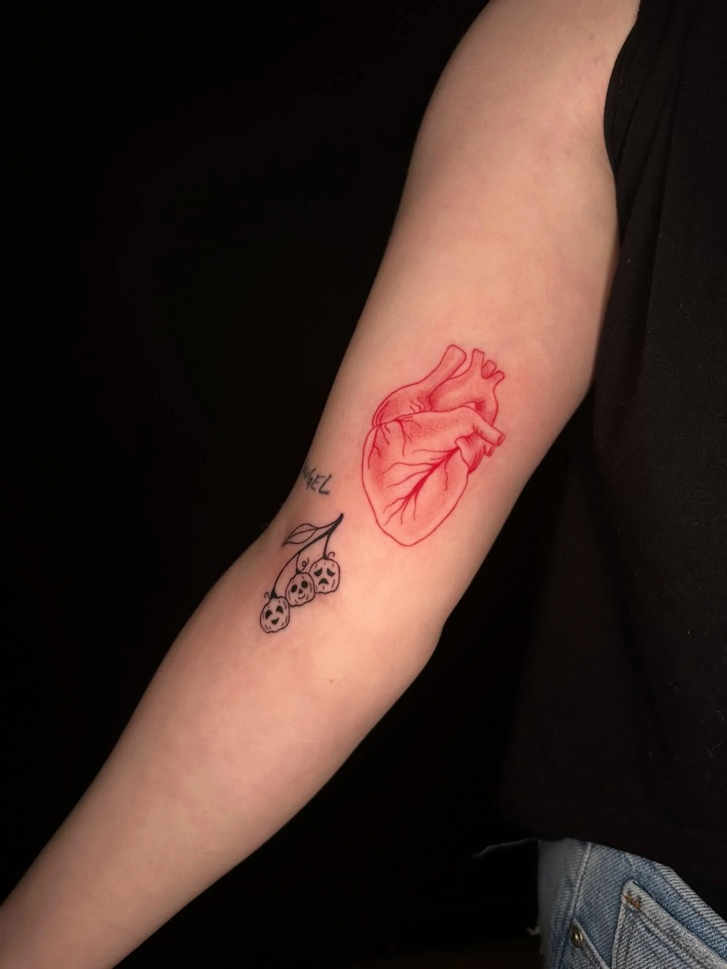 Anatomical heart and pumpkin vine from my flash for Sarah!!!❤️🎃

Booking January and February @darkartstattoomd just send a DM or my booking form for a spot💖