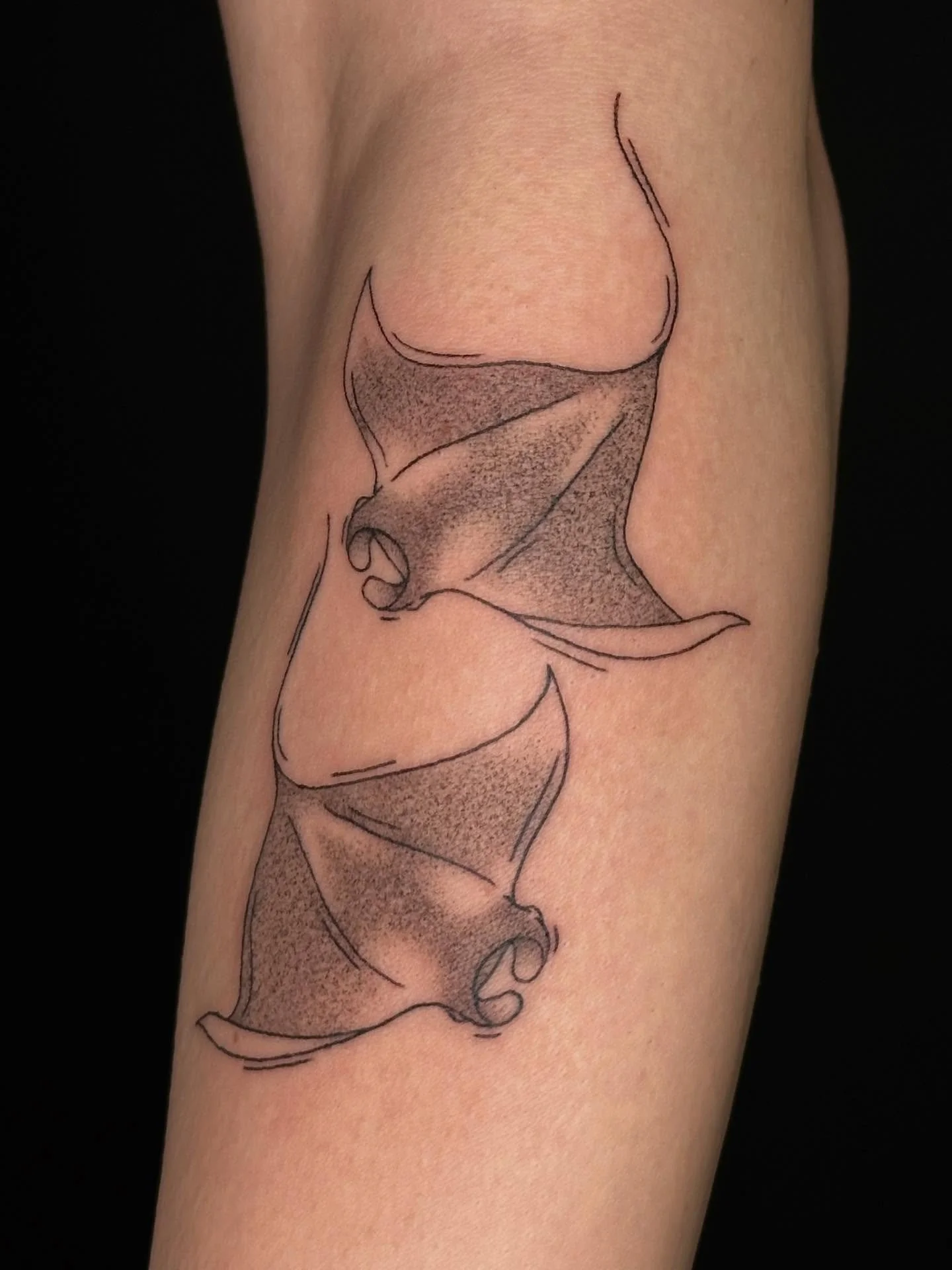 Two lil manta rays for Zoe&rsquo;s first tattoo!!!🎏😍💕

Booking January and February @darkartstattoomd just send a DM or my booking form for a spot💖