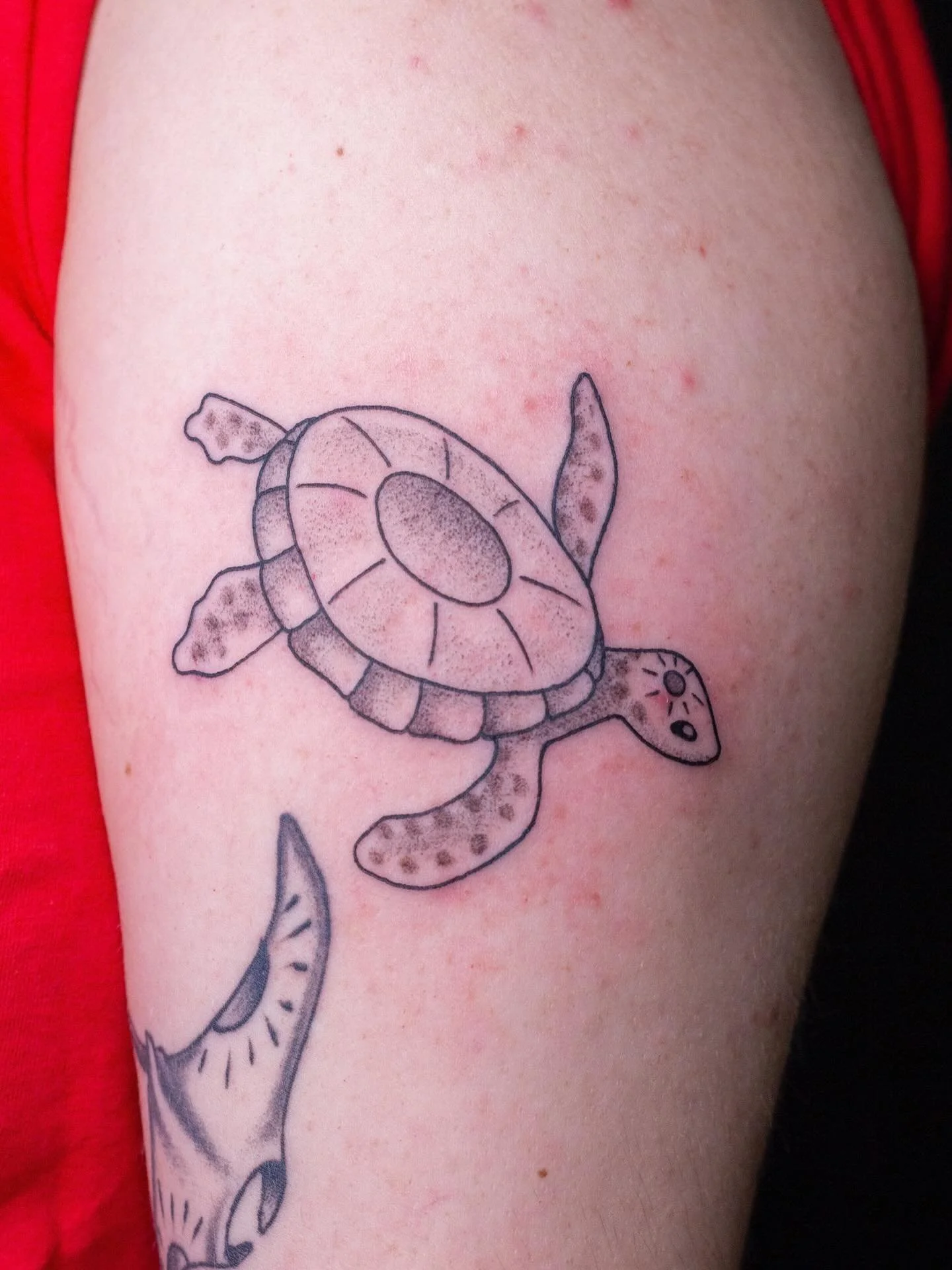 Swimming sunshine turtle for Sarah!! Everyone meet Crush, the newest addition to Sarah&rsquo;s arm!!!🐢💖

Booking March @darkartstattoomd just send a DM or my booking form for a spot💖