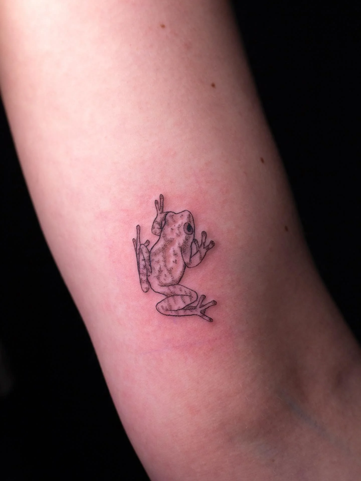 A sweet lil spring peeper for Corinne!!!🐸💚😍

Booking March @darkartstattoomd just send a DM or my booking form for a spot💖