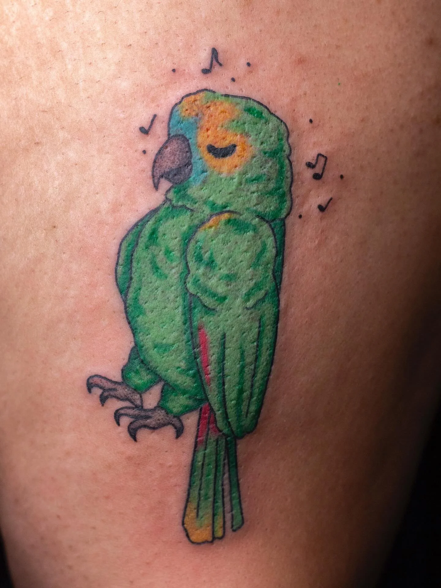 Siren for Bridgette 🦜💚🎶

If you&rsquo;ve been tattooed by me as of late, you know @alveussanctuary is my favorite thing to have on in the background (and to watch in my free time)! So when Bridgette reached out to me for this piece having not work