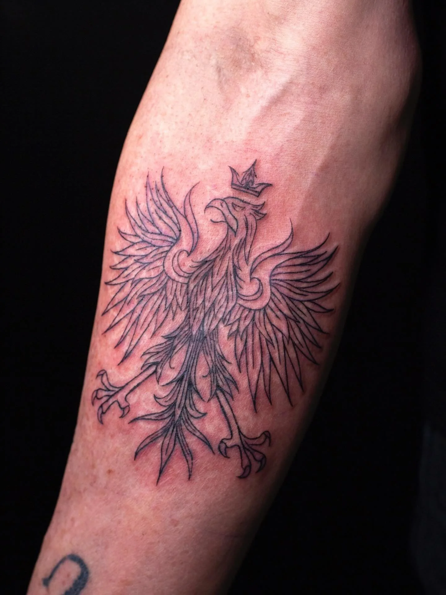 My dad is so cool and so awesome😊 I got to rework his polish eagle tattoo that he originally got done in white ink!!!!!🦅🇵🇱

We gave it a new look both in style and color and I&rsquo;m SO pumped with how it turned out!!!
(Swipe to the end to see h