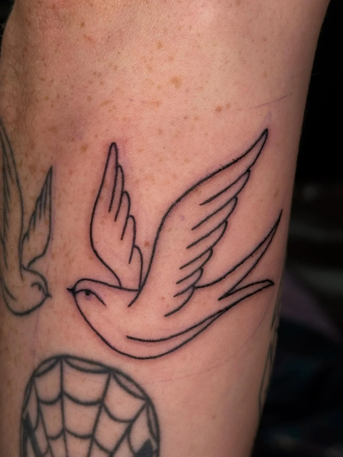 Added a lil bird to Patrick&rsquo;s arm to mirror his other one!!!!🕊️🐦💗

Thank you for working with me on this lil guy!!

I have 1 spot left in April and I&rsquo;m now booking May @darkartstattoomd just send a DM or my booking form for a spot💖