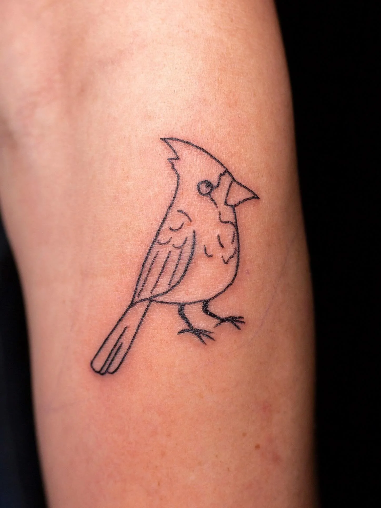 A cardinal and a cute lil letter for Courtney!!🐦💕

Thank you for working with me on these sweet pieces!!!

Booking July @layer3collective just send a DM or my booking form for a spot💖