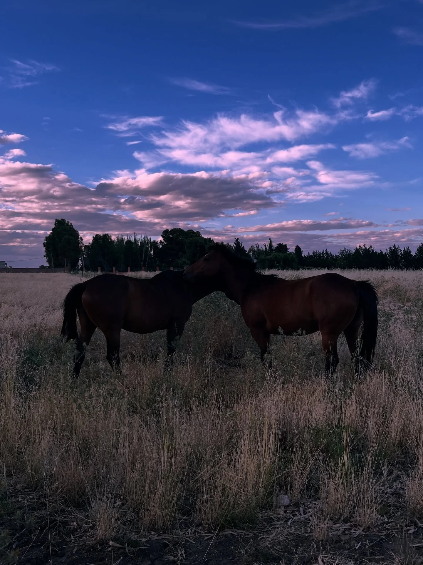 Without any real order, I&rsquo;m taking with me relationships that widen up the soul, while we rise. 
An open heart in front of scary or vulnerable situations, 
compassion when I feel hurt and can&rsquo;t see the full picture yet.
 I&rsquo;m bringin