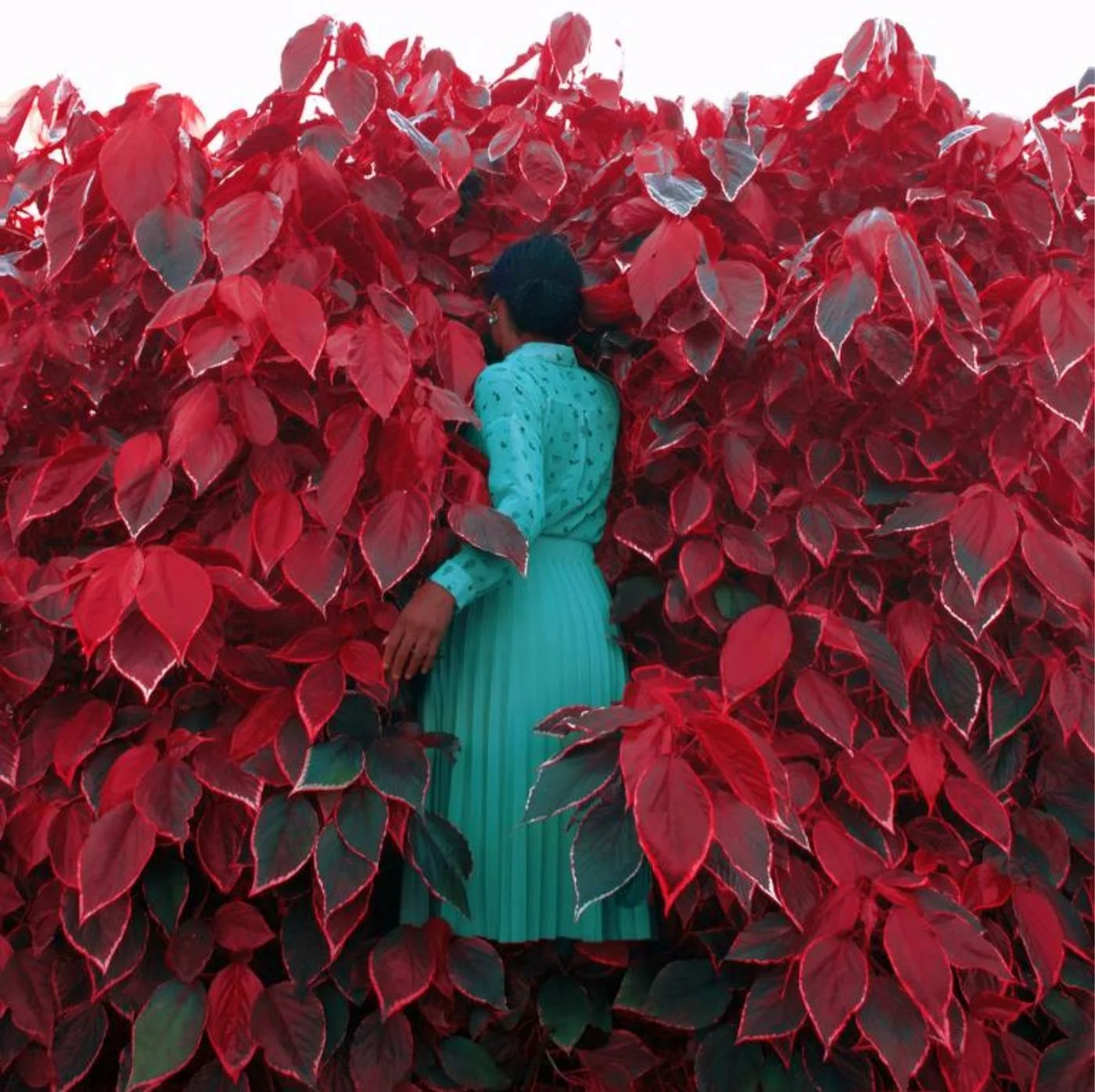 My favorite photographers of the moment that you can bring home