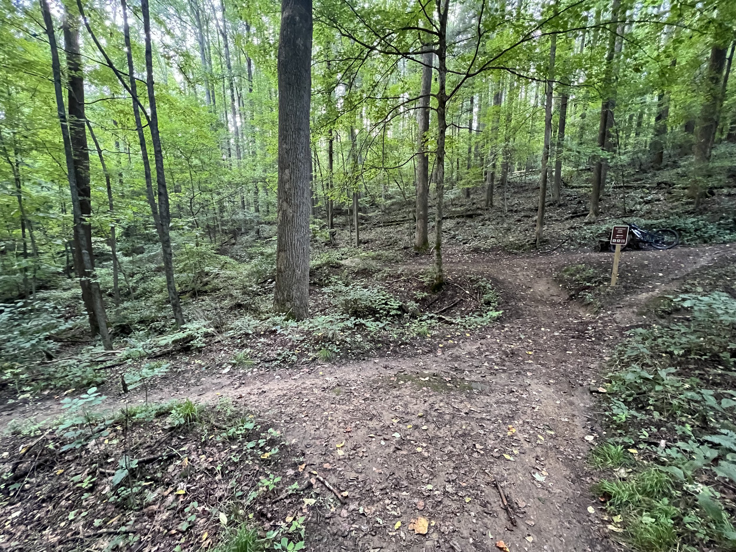 Left turn at the Short Loop junction.