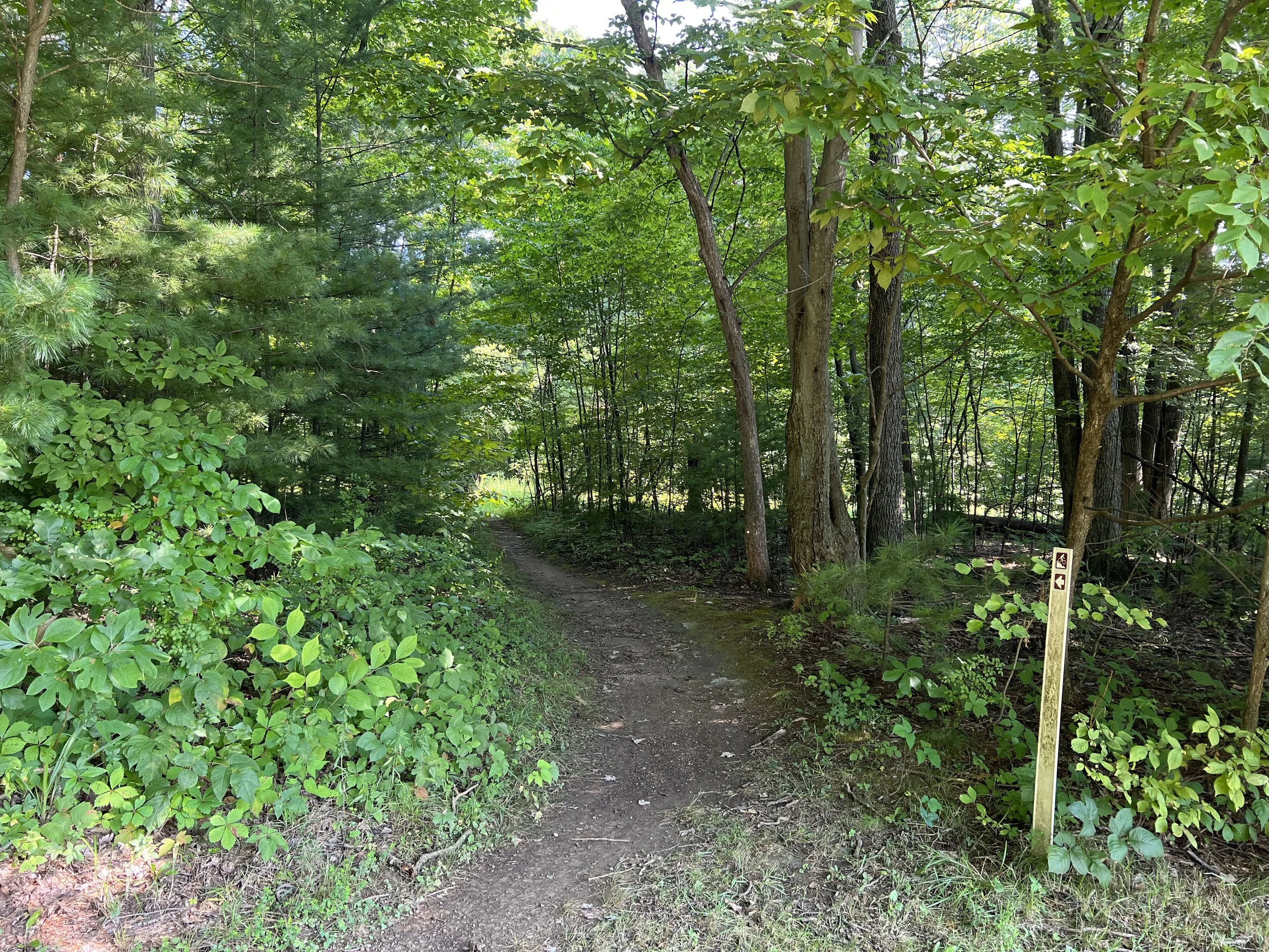 SnoMo Entrance (Copy)
