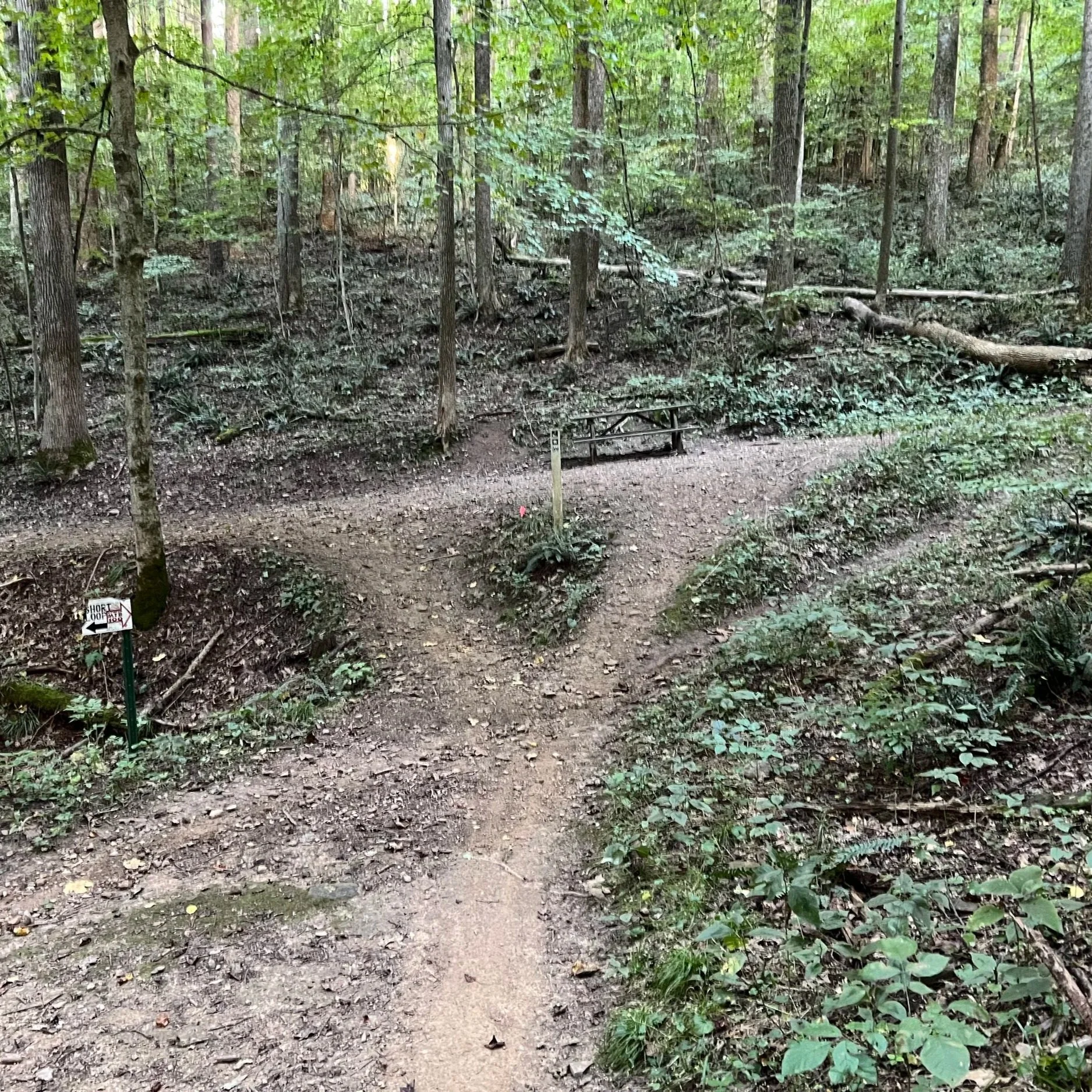 Short Loop Junction (Copy)