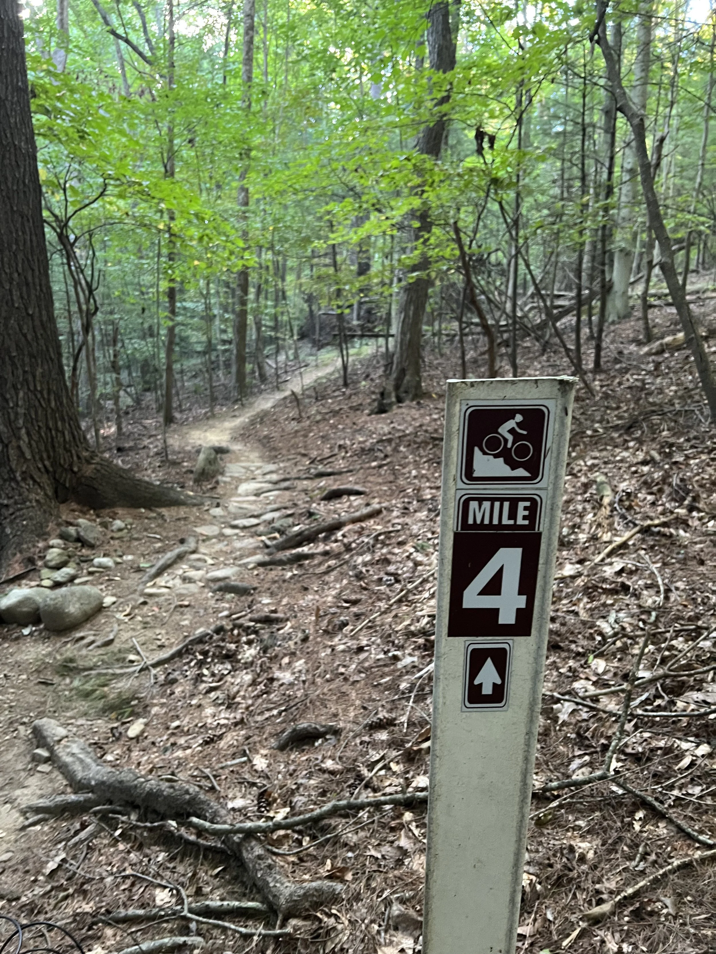Mile Marker 4