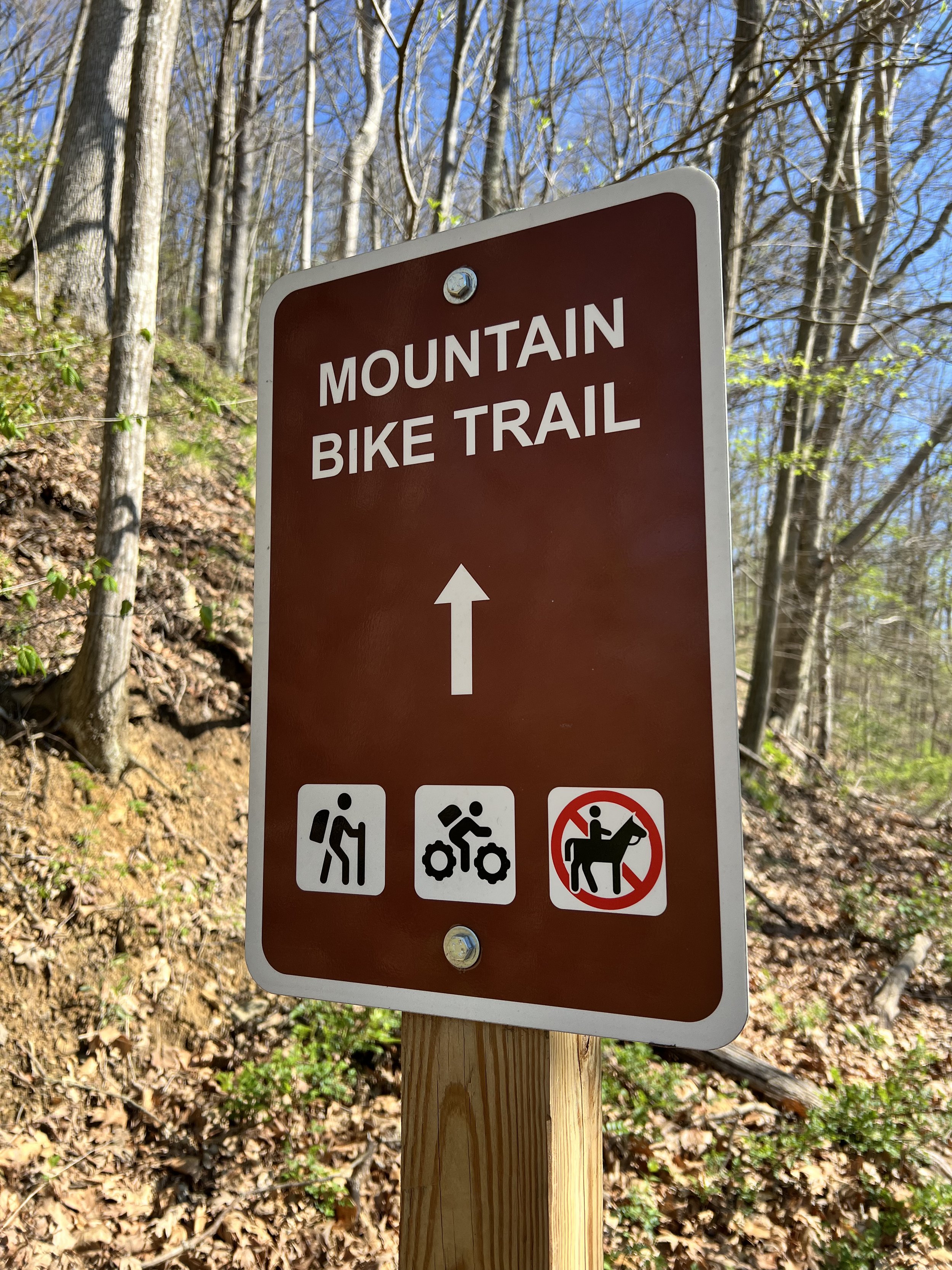 Shortly after trail entrance (Copy)