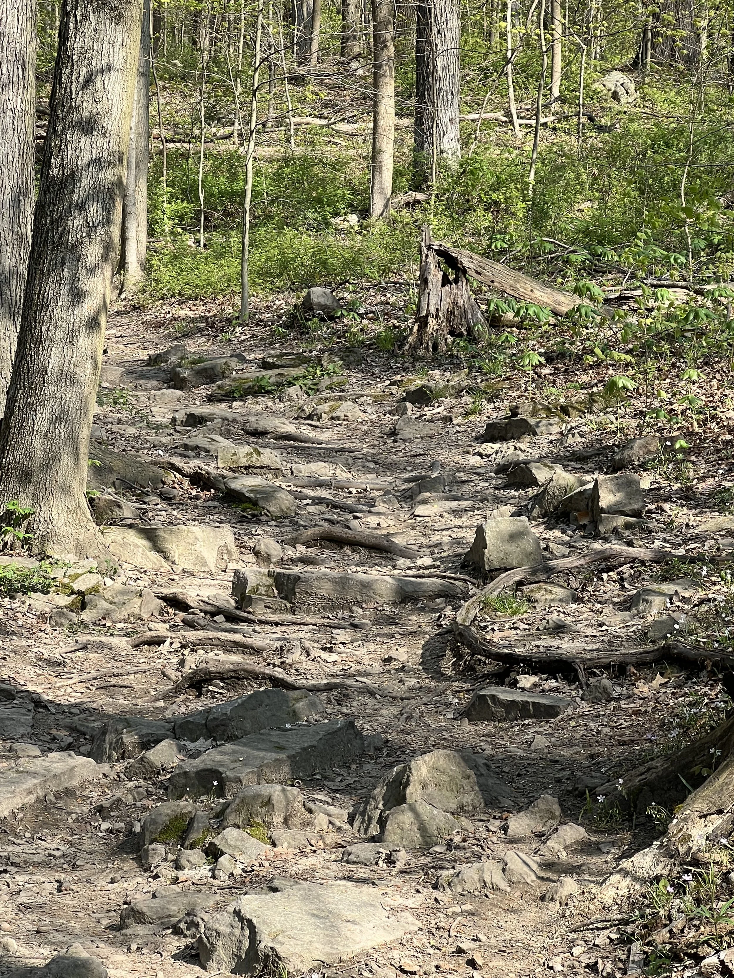 Mile 3 rock garden