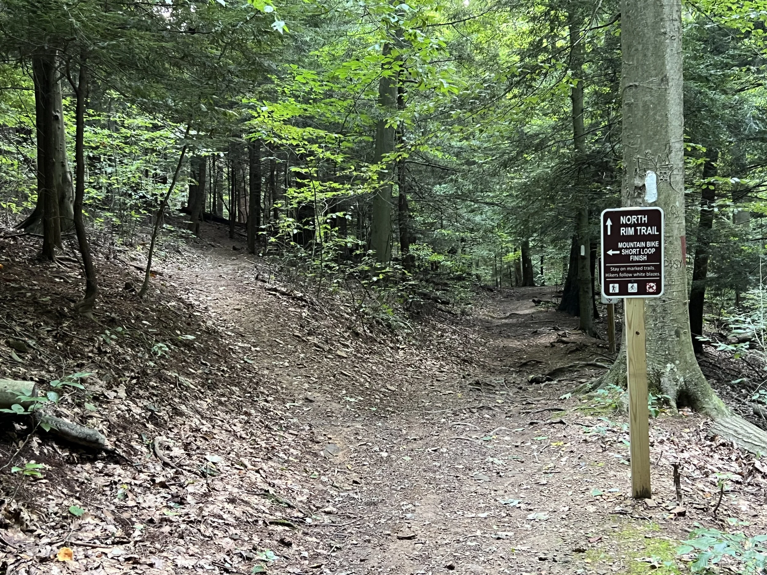 Veer left to finish the route.