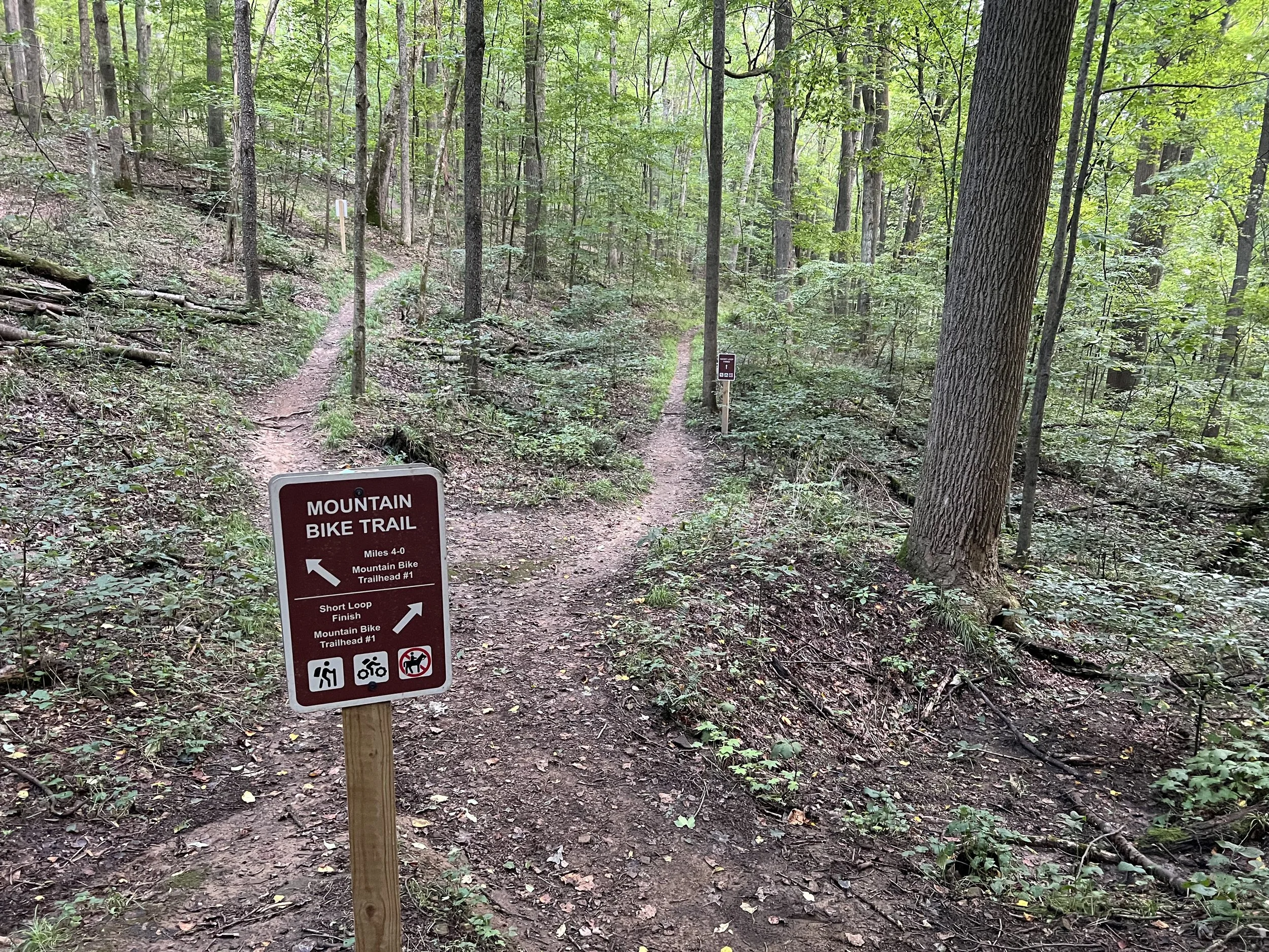Looking back along the return trip — stay left.
