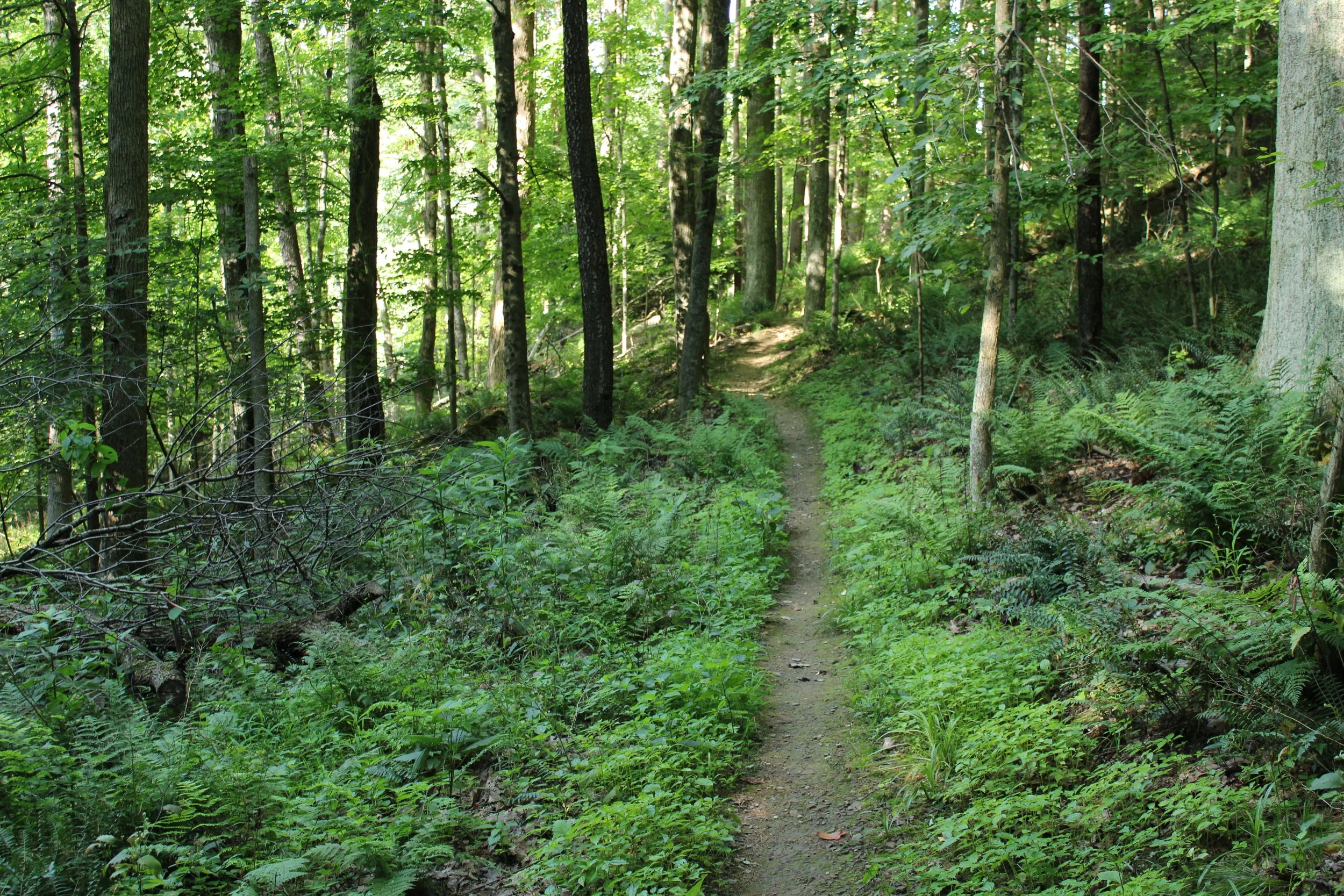 30.06 trail