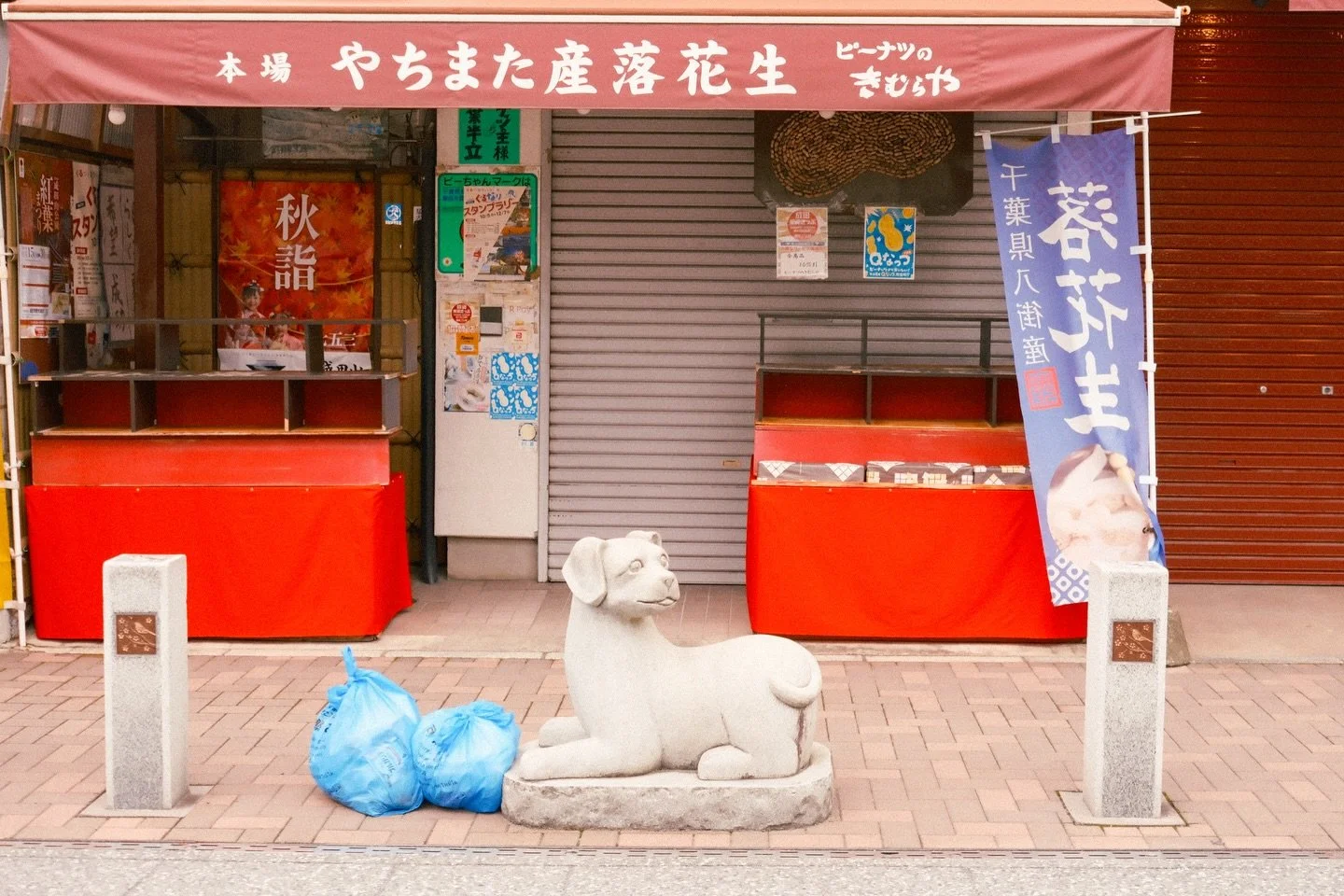 A lot of people fly into Narita and head straight to Tokyo, but did you know that Narita City is very cute and has a lot to offer? We loved exploring Naritasan Park in the early morning and wandering through the adjoining temple complex with its amaz