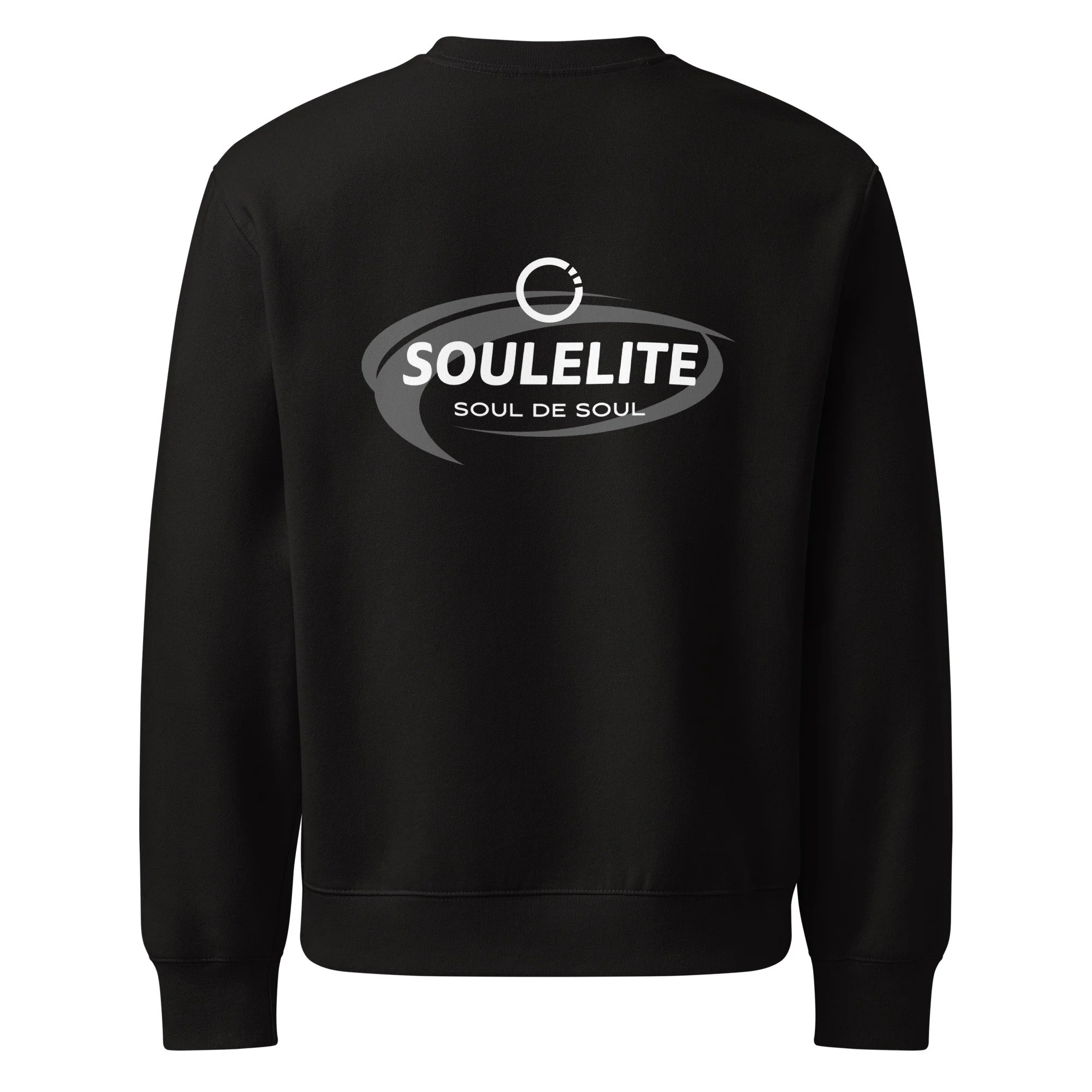 unisex-oversized-heavyweight-sweatshirt-black-back-68a7b4c887b6d.jpg