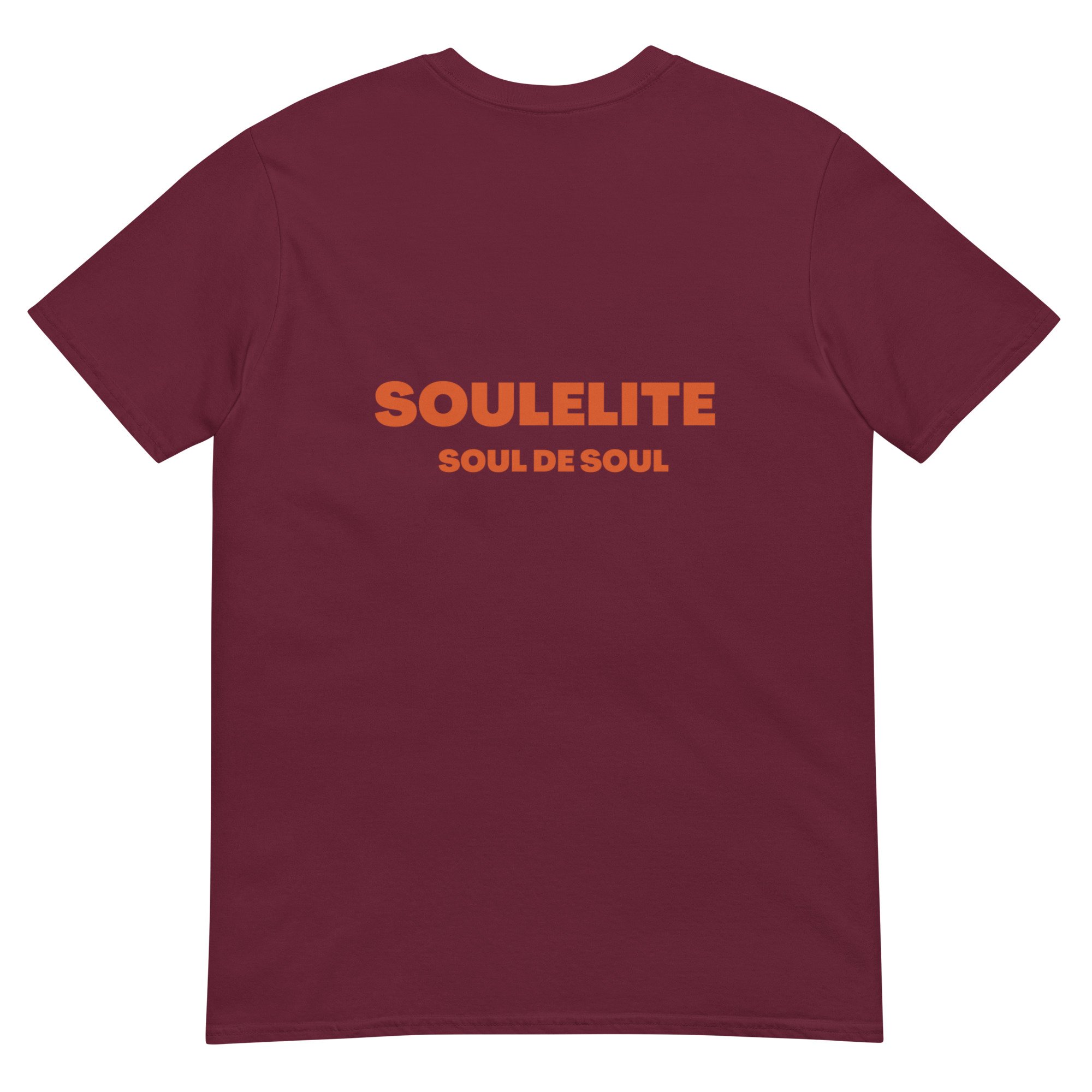 unisex-basic-softstyle-t-shirt-maroon-back-69f3b732d9c8d.jpg