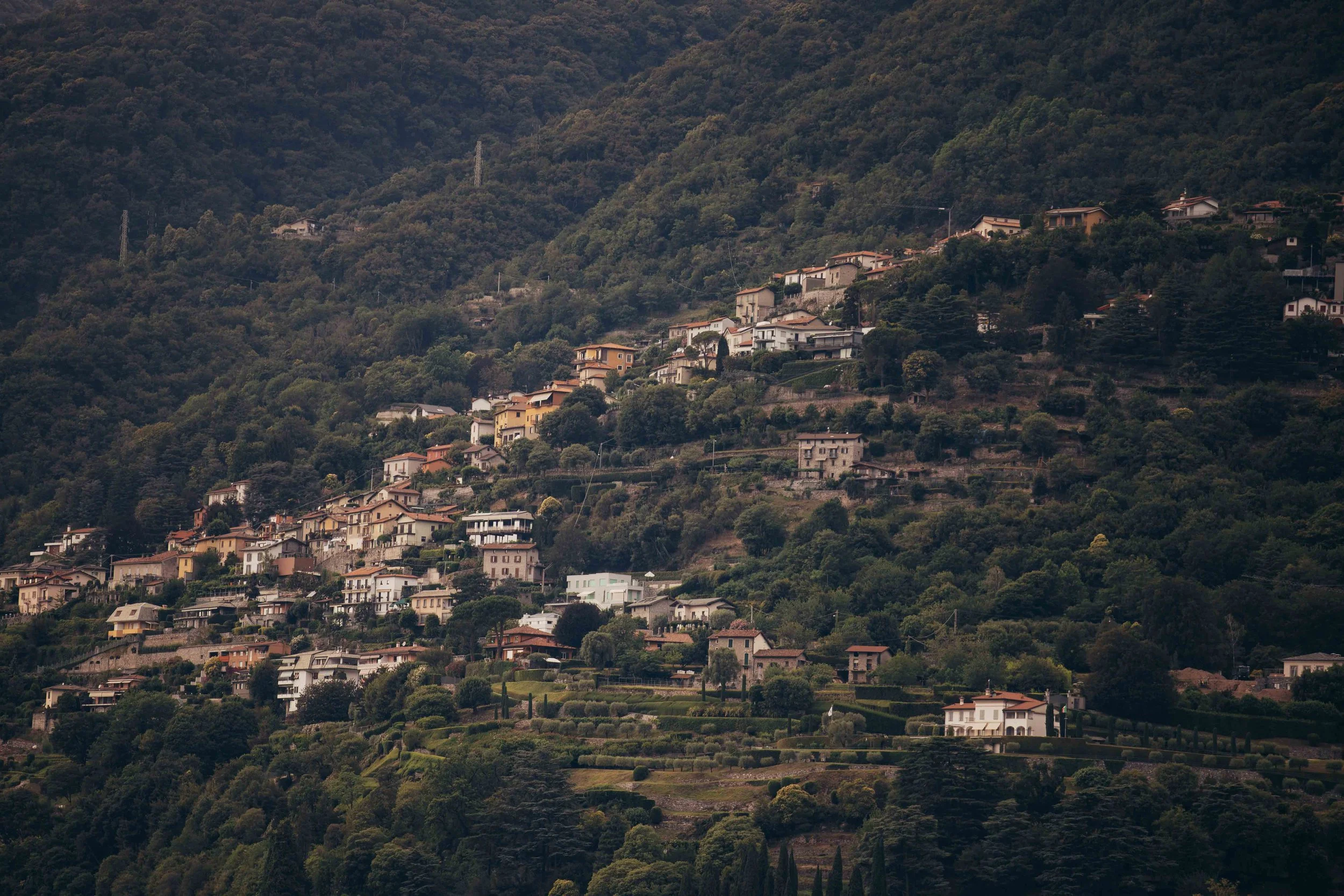 Hillside view of a residential area with houses and greenery.