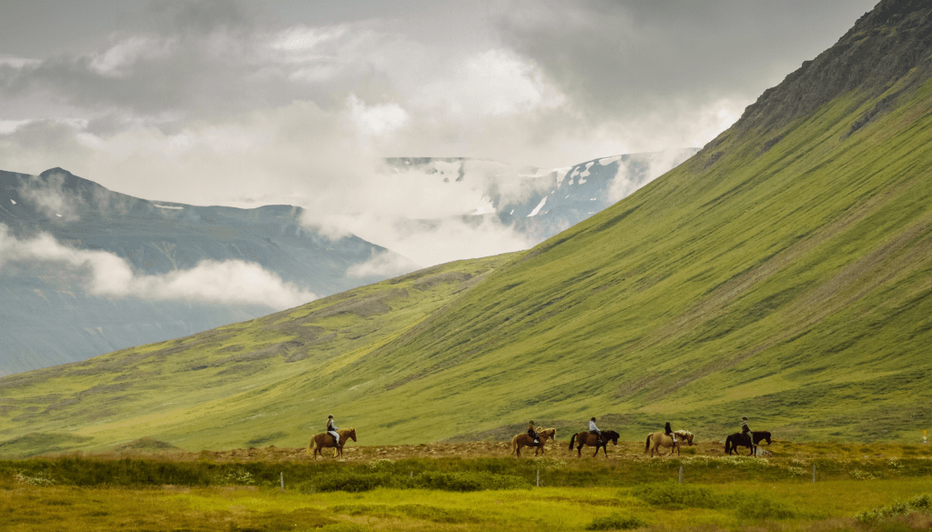 Couple on horseback riding through an Icelandic mountain valley on a guided trail at Deplar Farm