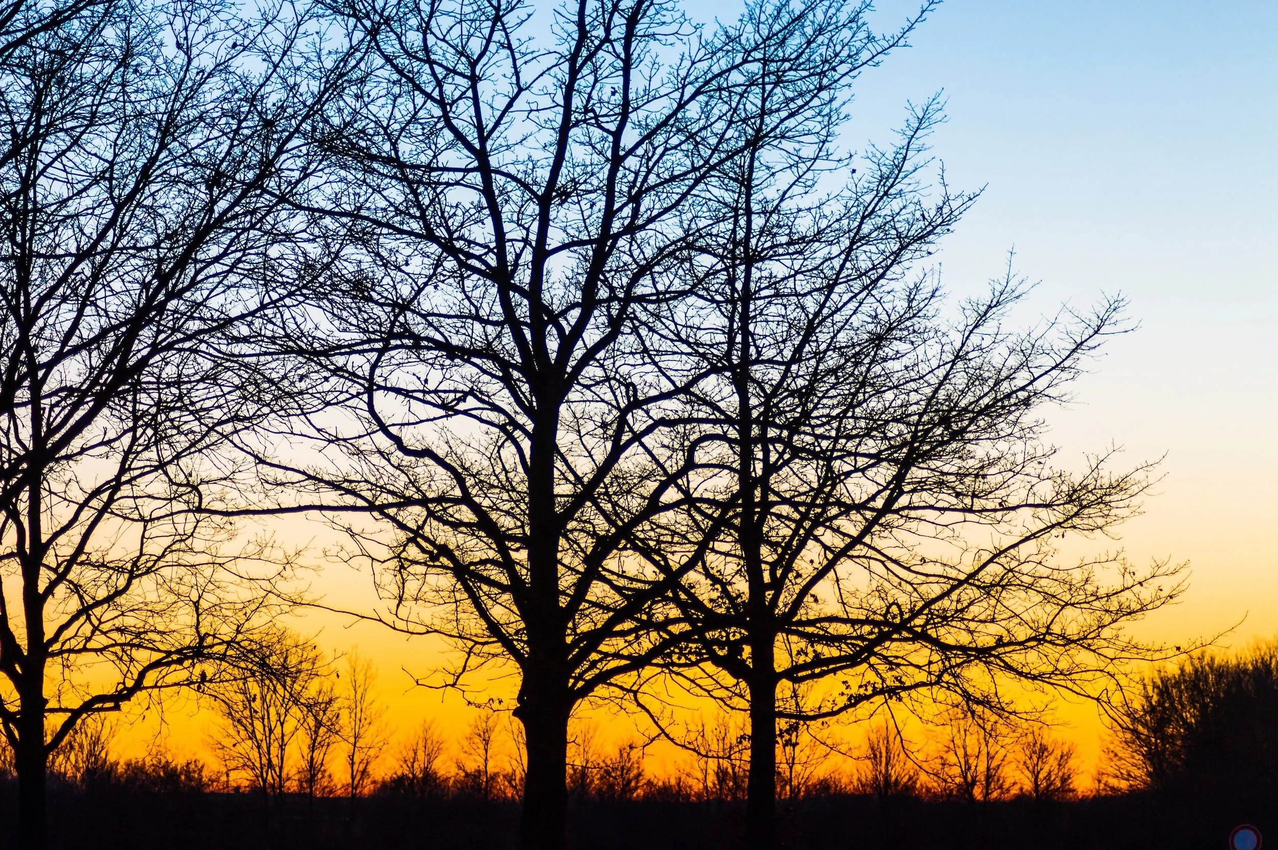 The benefits of an Omnichannel Marketing Strategy