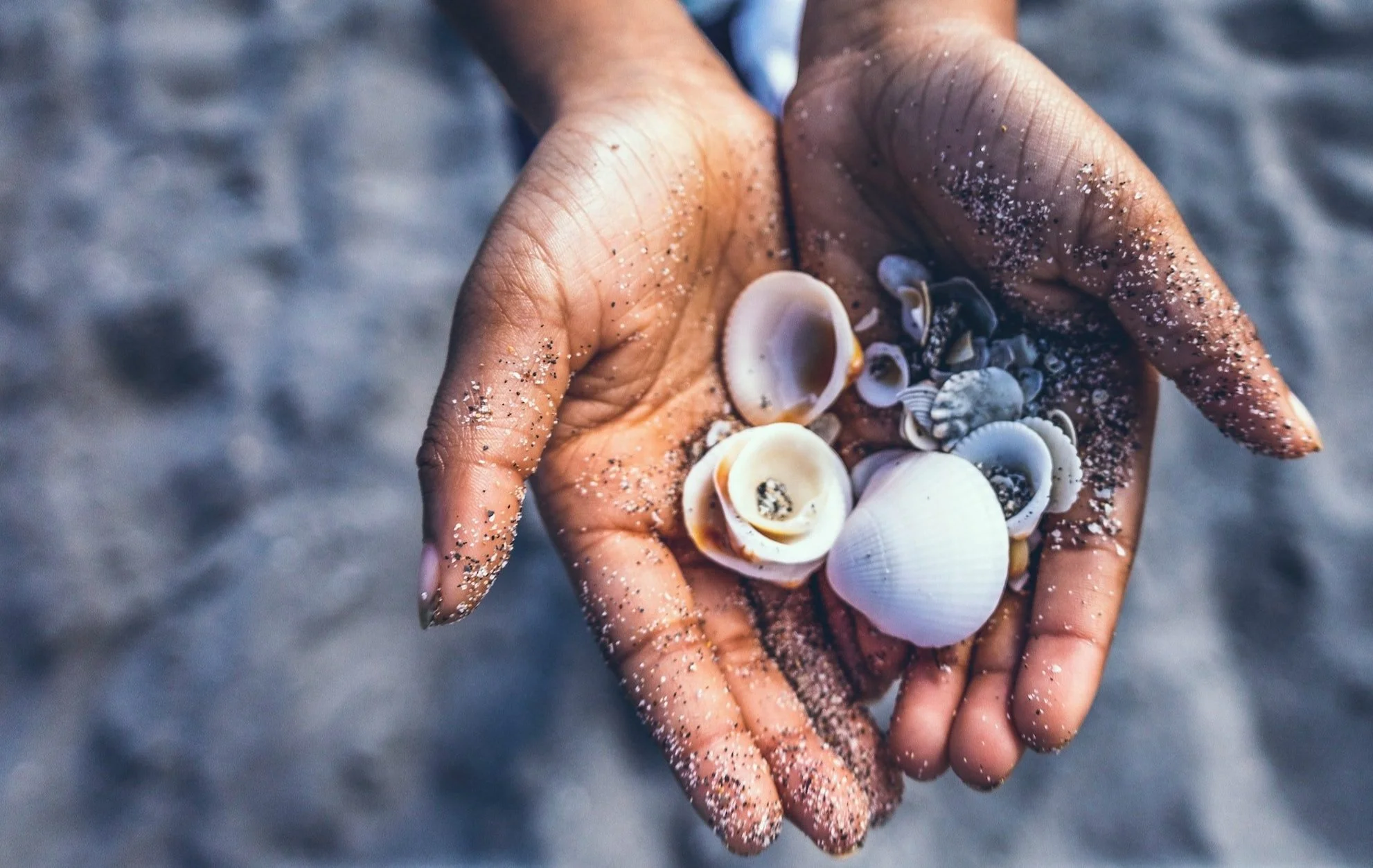 Team — Seaglass Diagnostics & Consulting