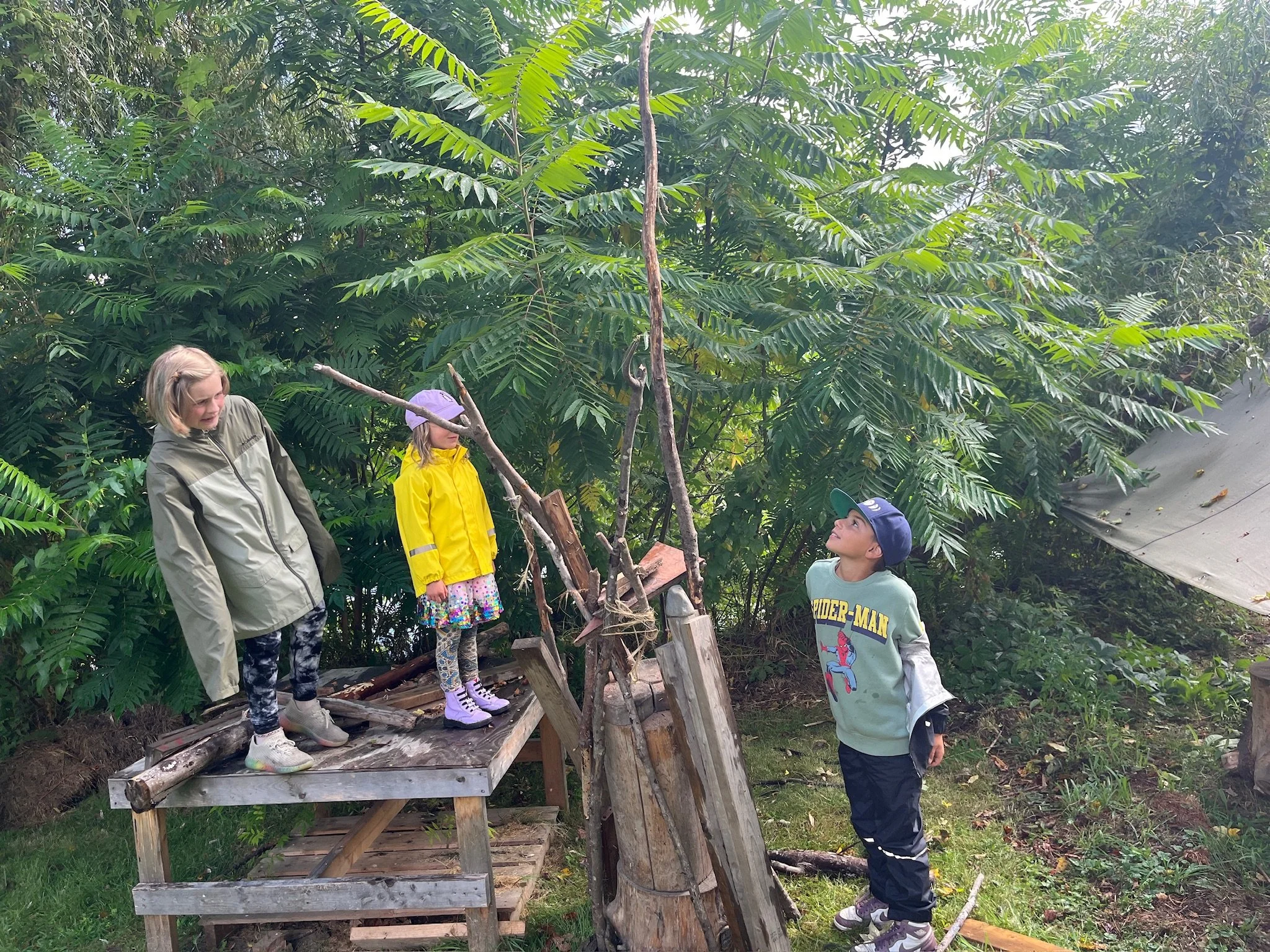 Wild Forest Adventurers - June 15-19