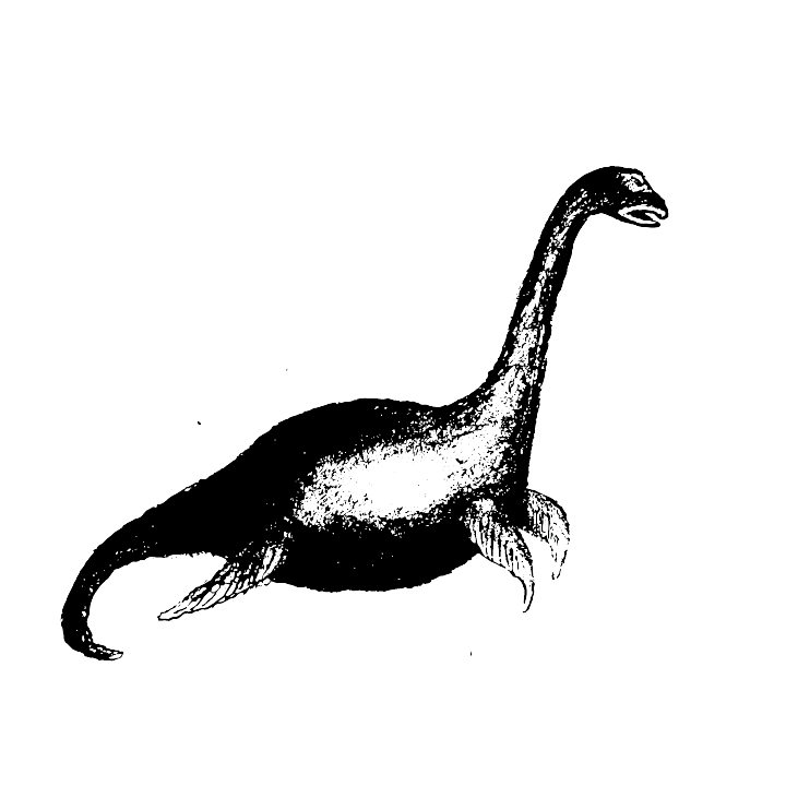 MothNessie-01.png