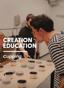 Creation Education: Video Series