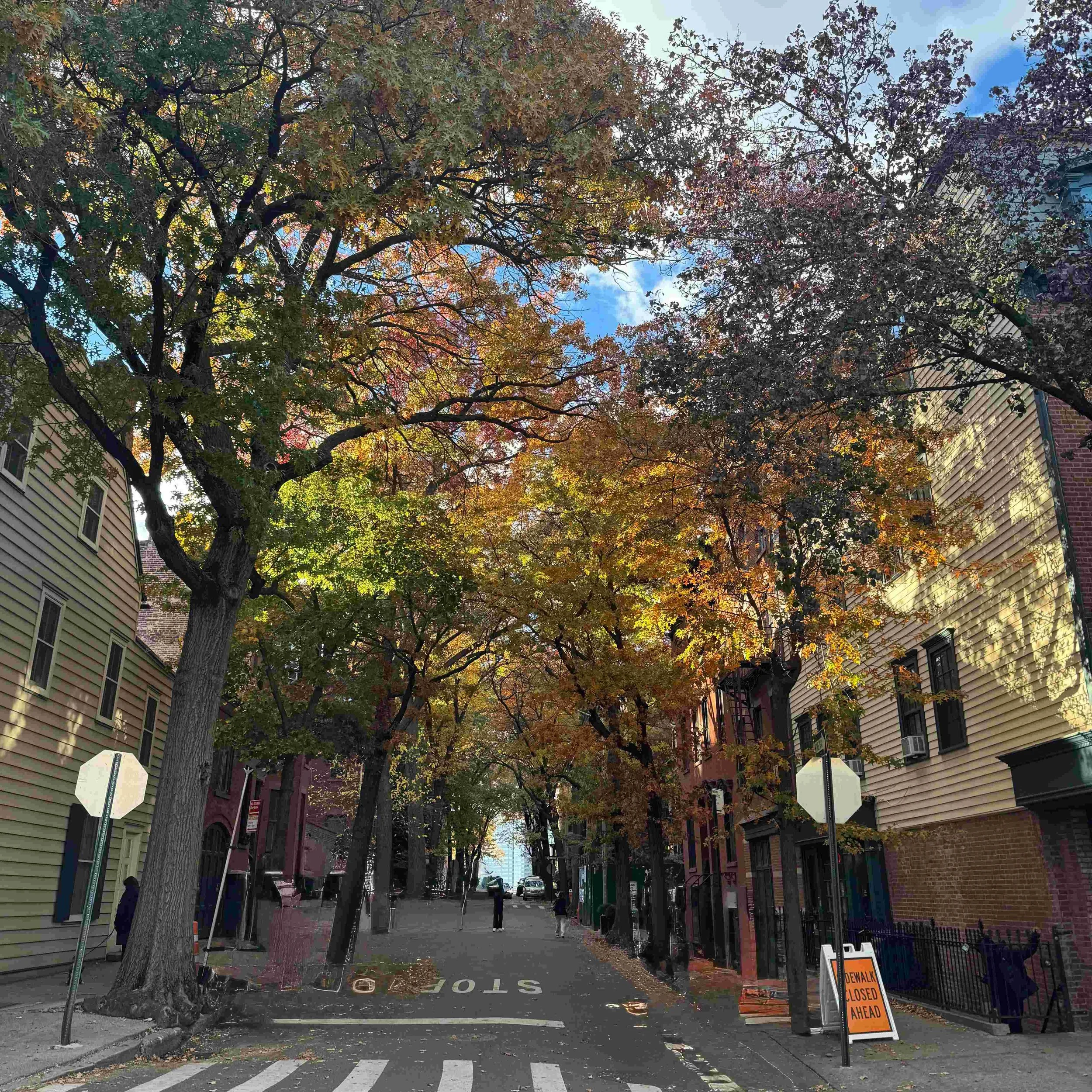 Cranberry Street est l'une des plus belles rues de Brooklyn Heights avec ses arbres et ses petites maisons traditionnelles