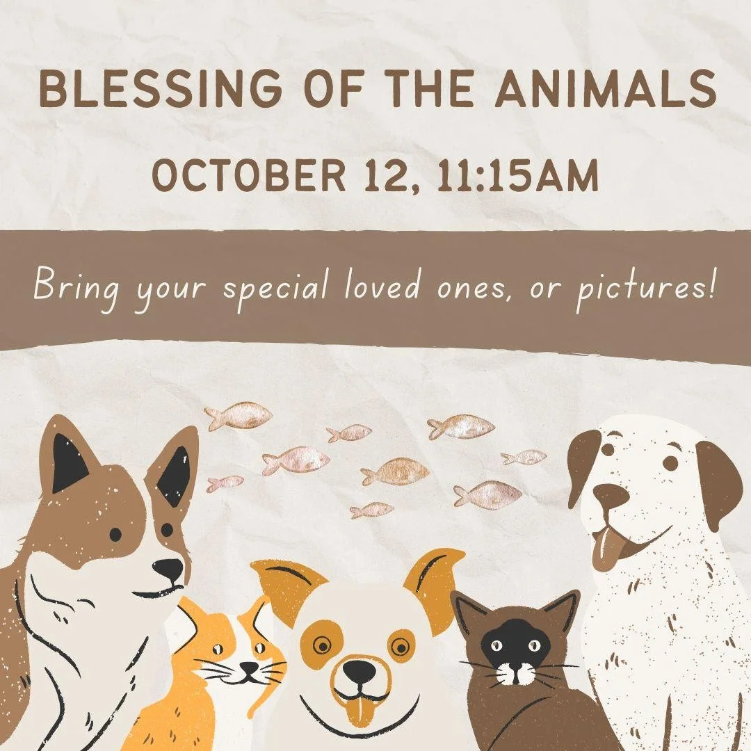 Blessing of the Animals