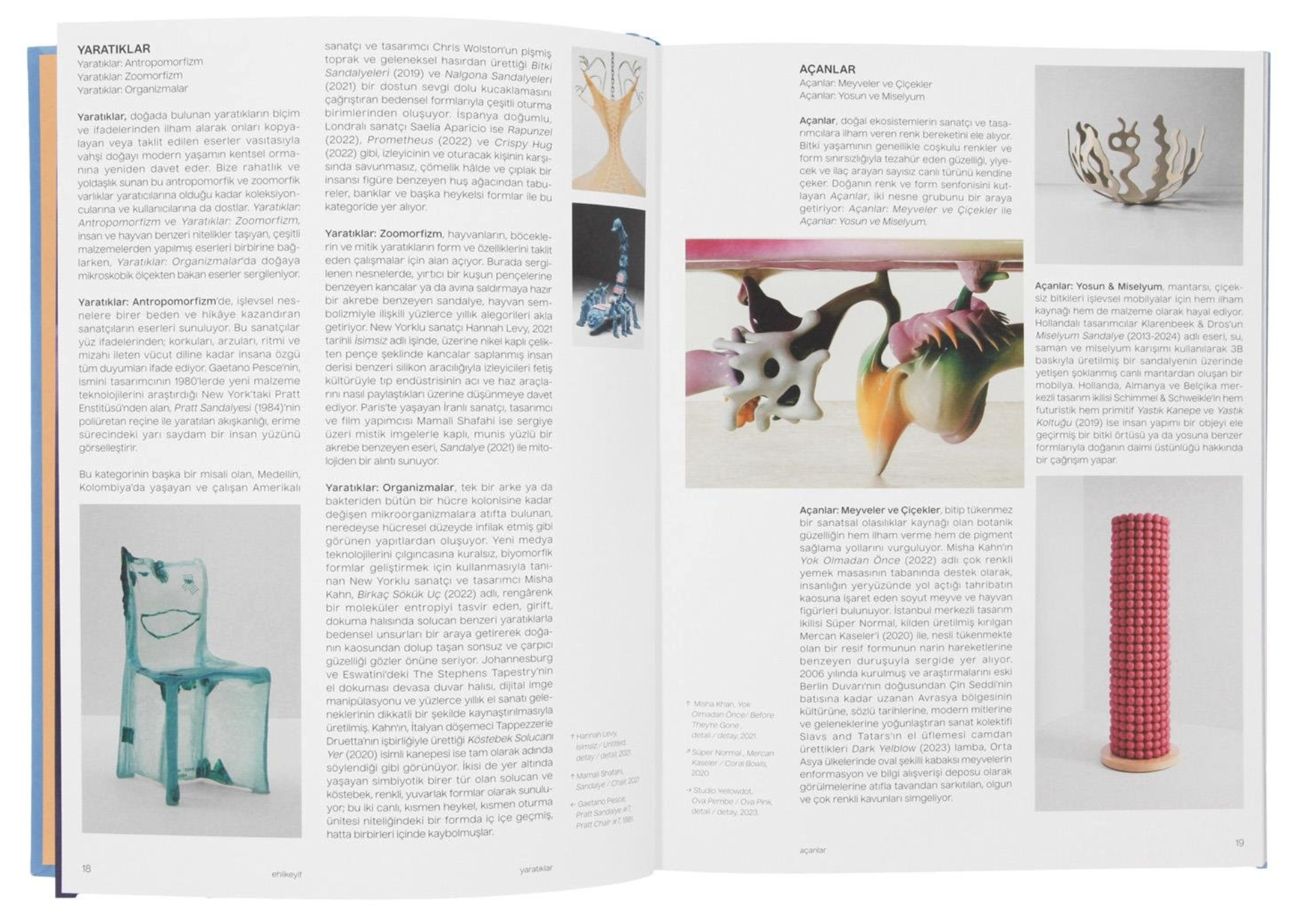 Andrew Gardner, "The Nature of Comfort," in Creatures of Comfort, ed. Idil Tabanca, OMM, 2025.