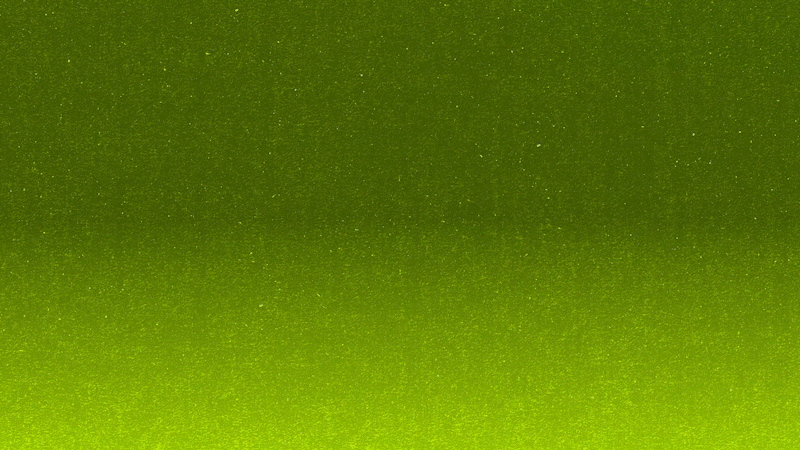Spotify-Riso-16x9-13_1.gif