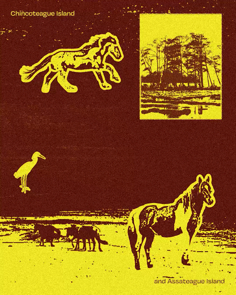 WildPonies-4x5.gif