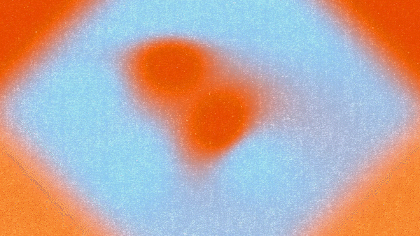 Spotify-Riso-16x9-02-4.gif