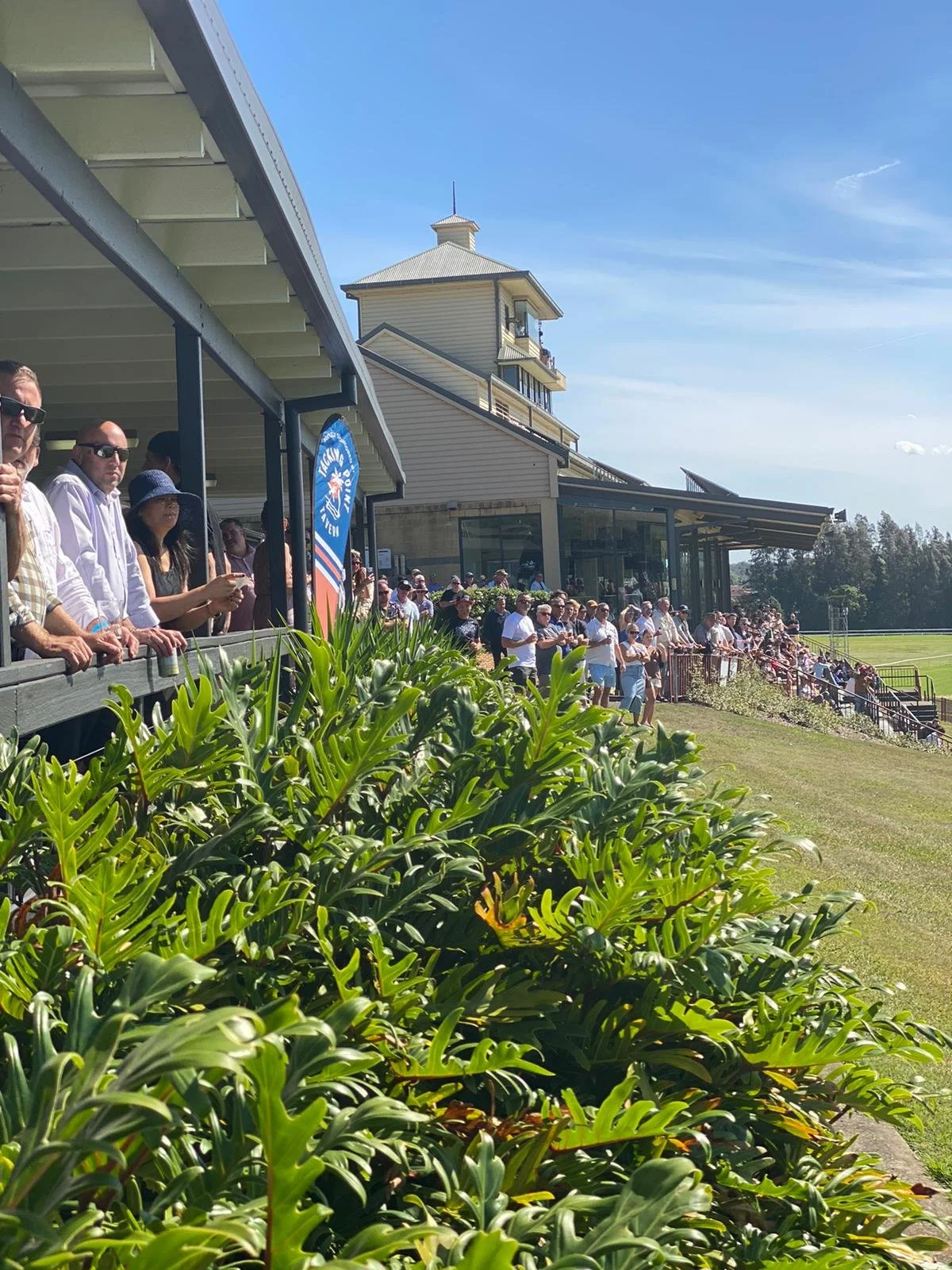 WhatsApp Image 2025-11-13 at 19.42.07_79d4364c.jpg