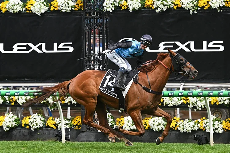 Melbourne Cup Sorted