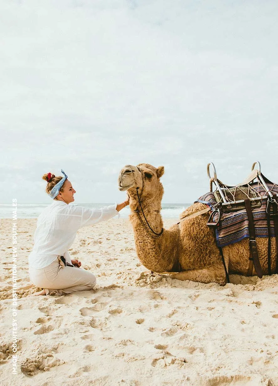 Flower_Hotels_Port_Macquarie_TOURISM_EXPERIENCES_Camel_WALK.jpg