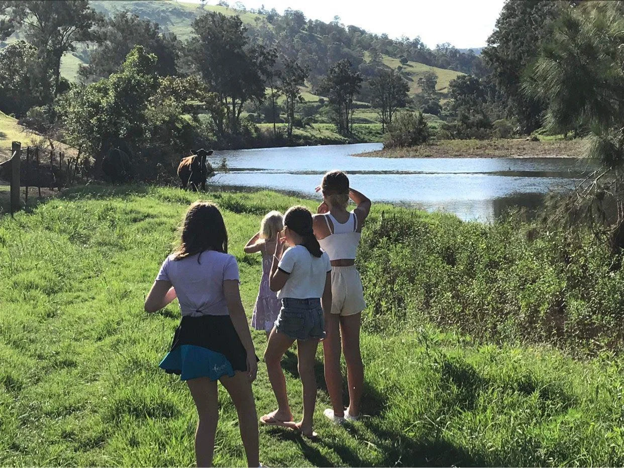 Four people walking near a pond with cows grazing in a rural landscape.