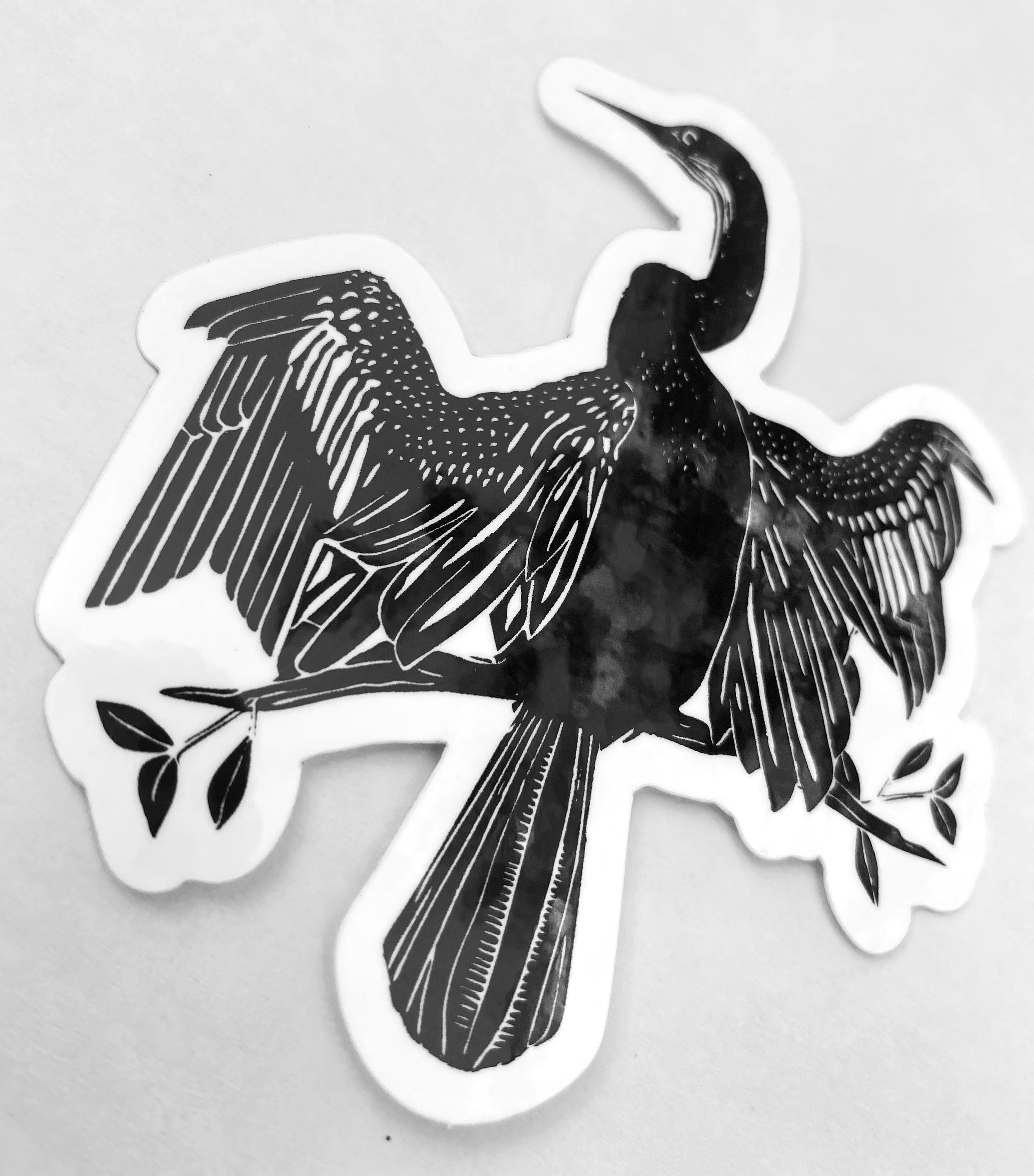 Anhinga2.png