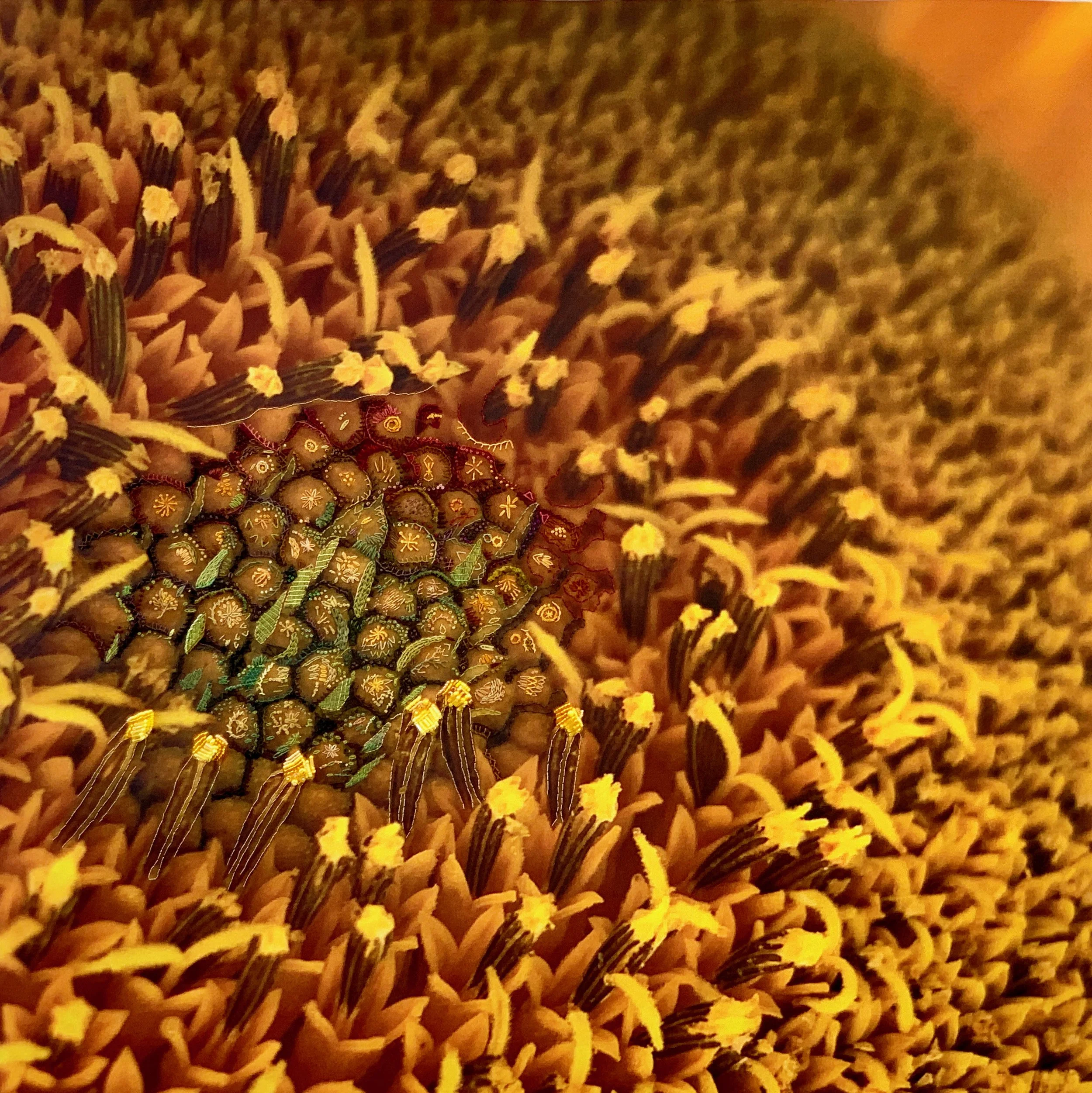 Embellished Photographs