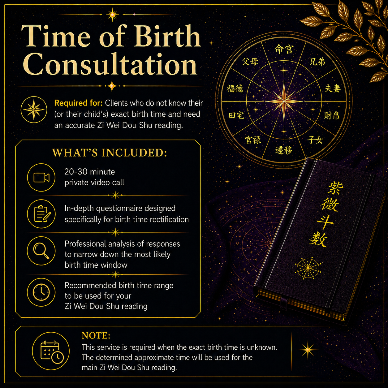 Time of Birth Consultation.png