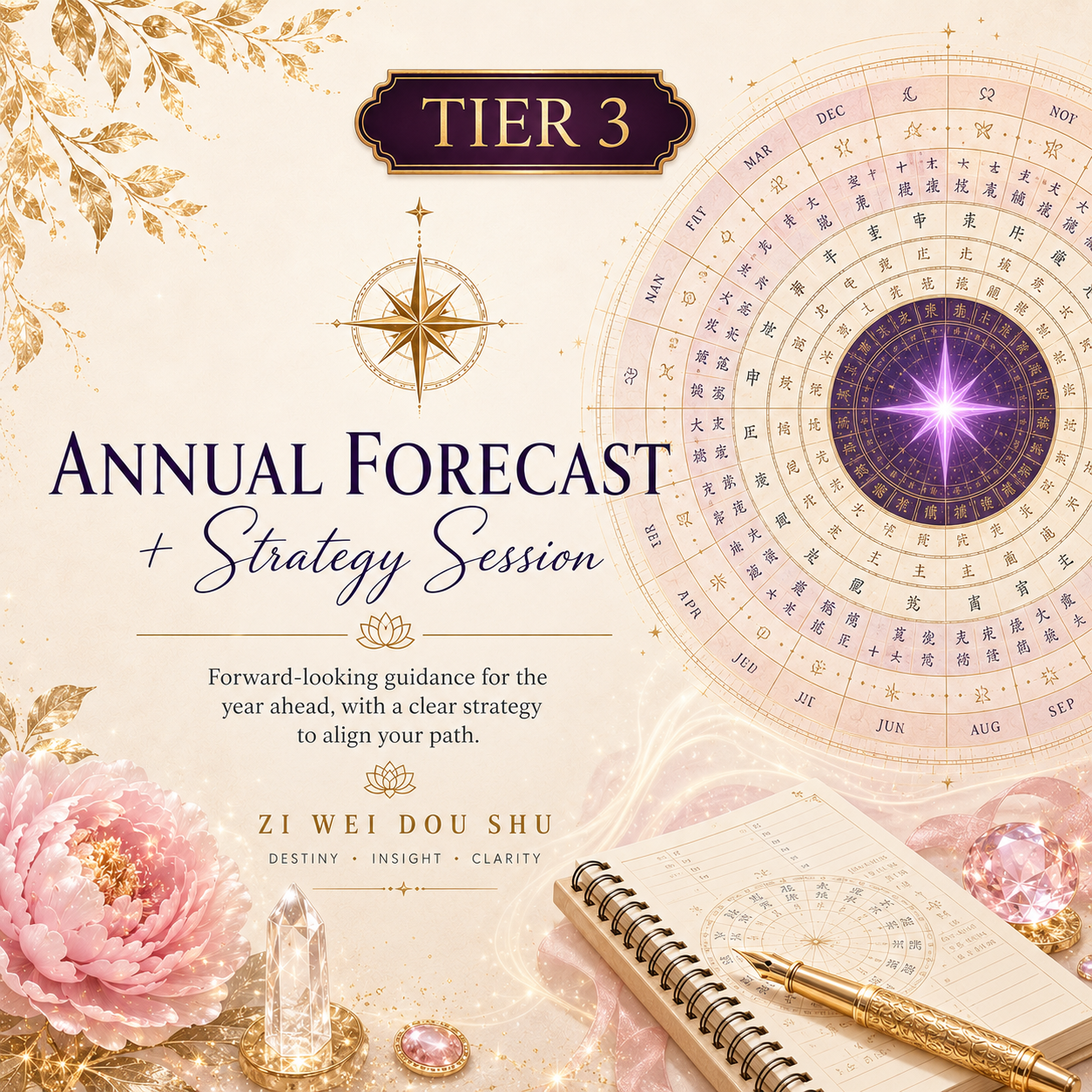 TIER 3 — Annual Forecast + Strategy Session