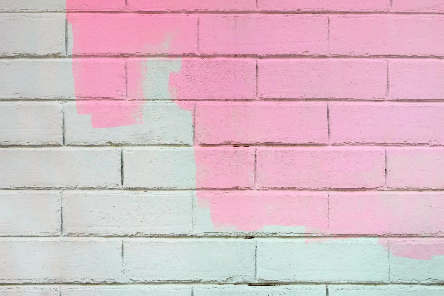 11 Chic Ideas for Painting Interior Brick Walls in Denver — Singletrack