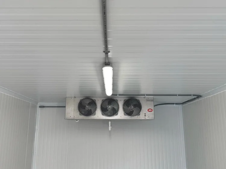 Walk-in cooler panel installation for a Brantford area business