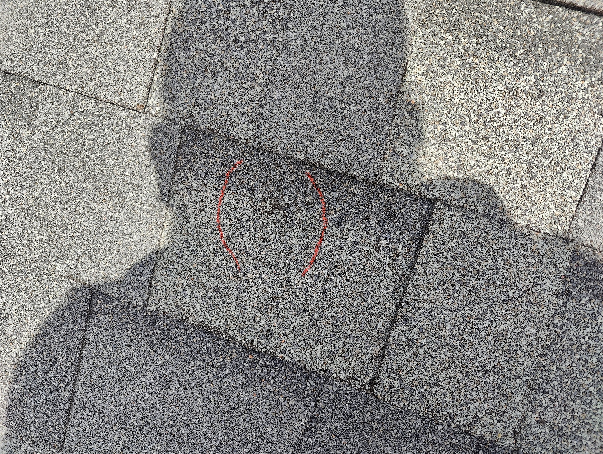 IMG20240701131145.jpg
