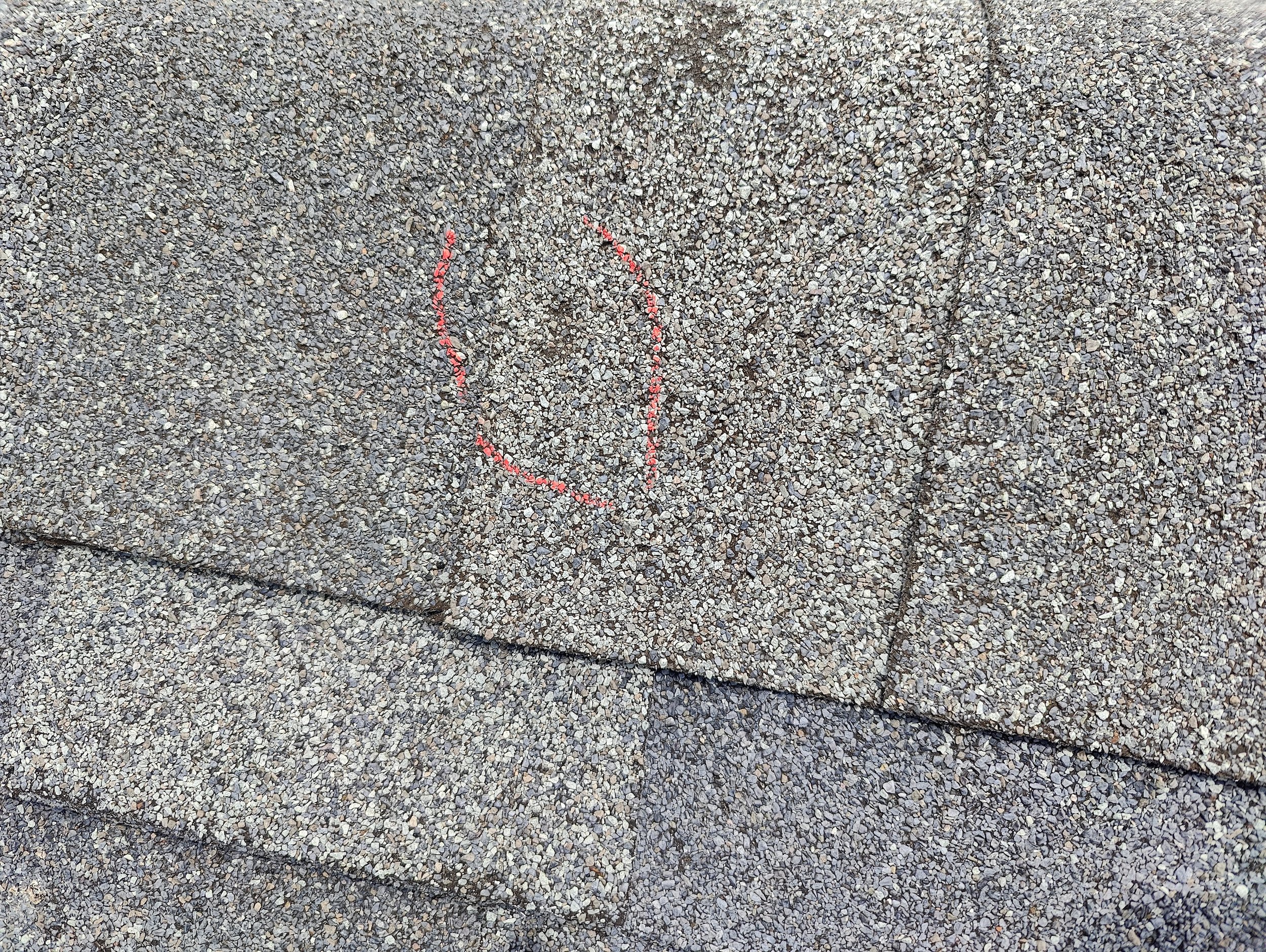 IMG20240701133718.jpg