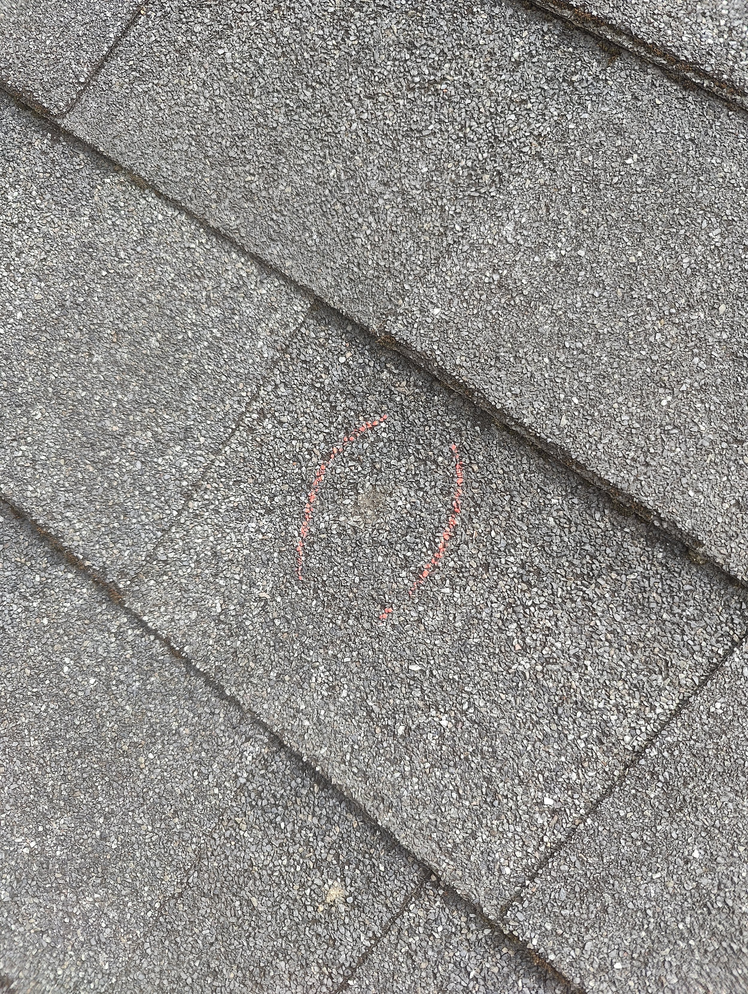 IMG20240701134117.jpg